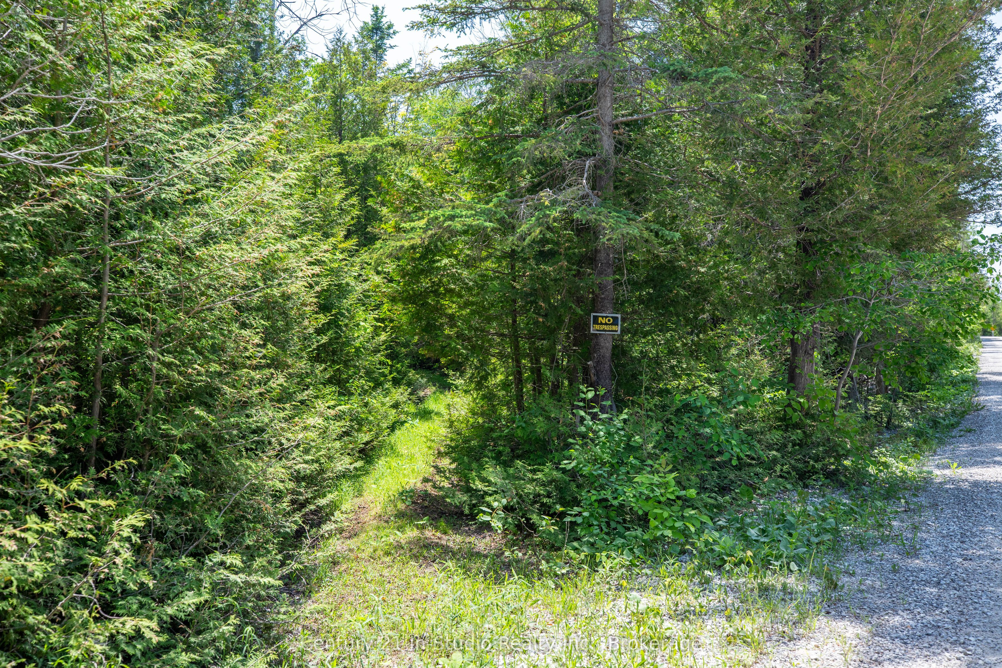 Lot 13 Boat Lake Road Property Photo 14