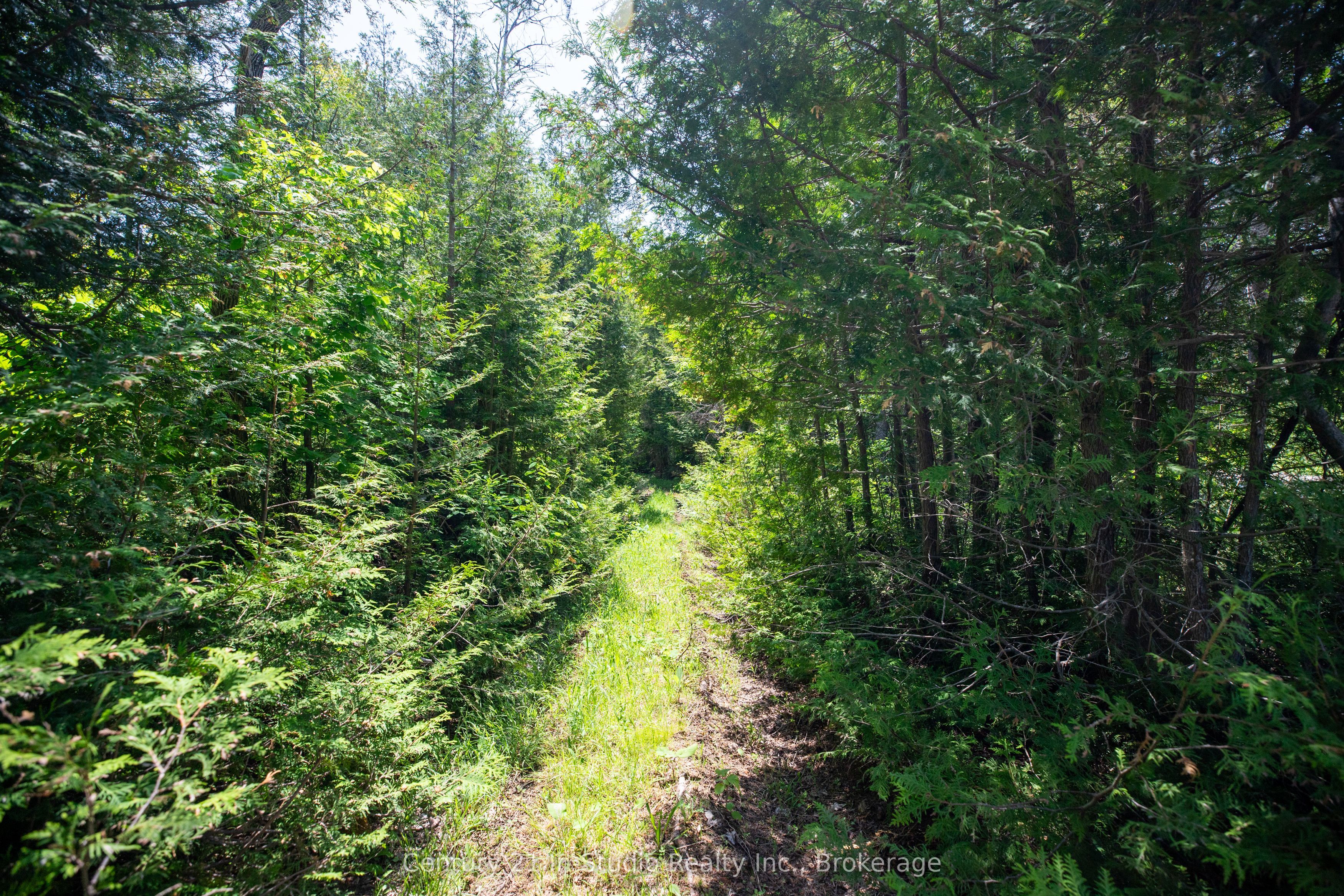 Lot 13 Boat Lake Road Property Photo 15