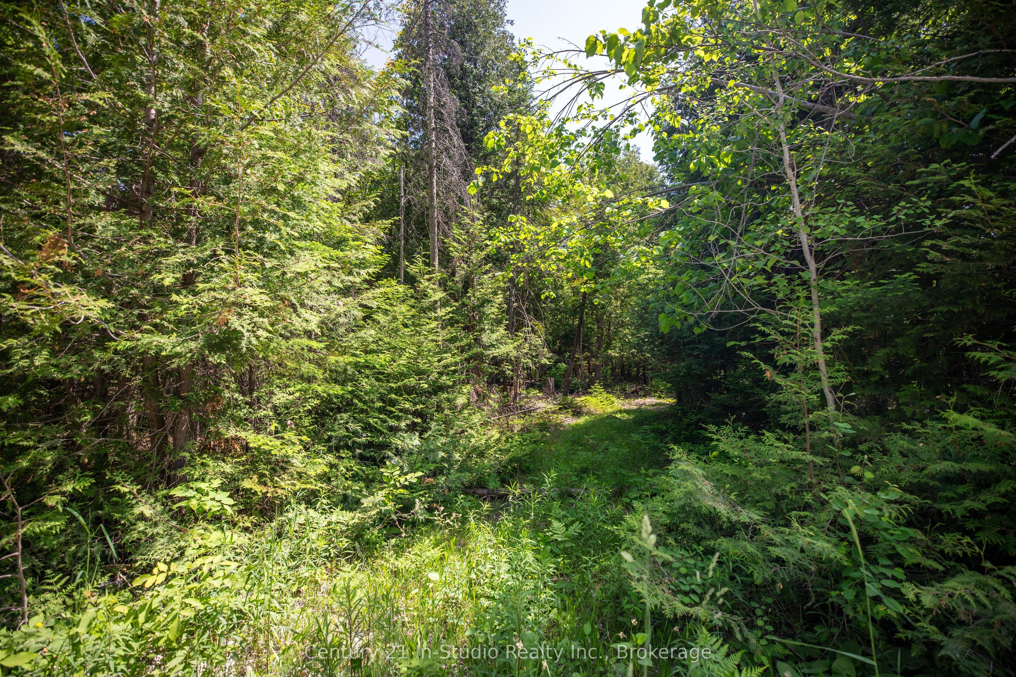 Lot 13 Boat Lake Road Property Photo 16