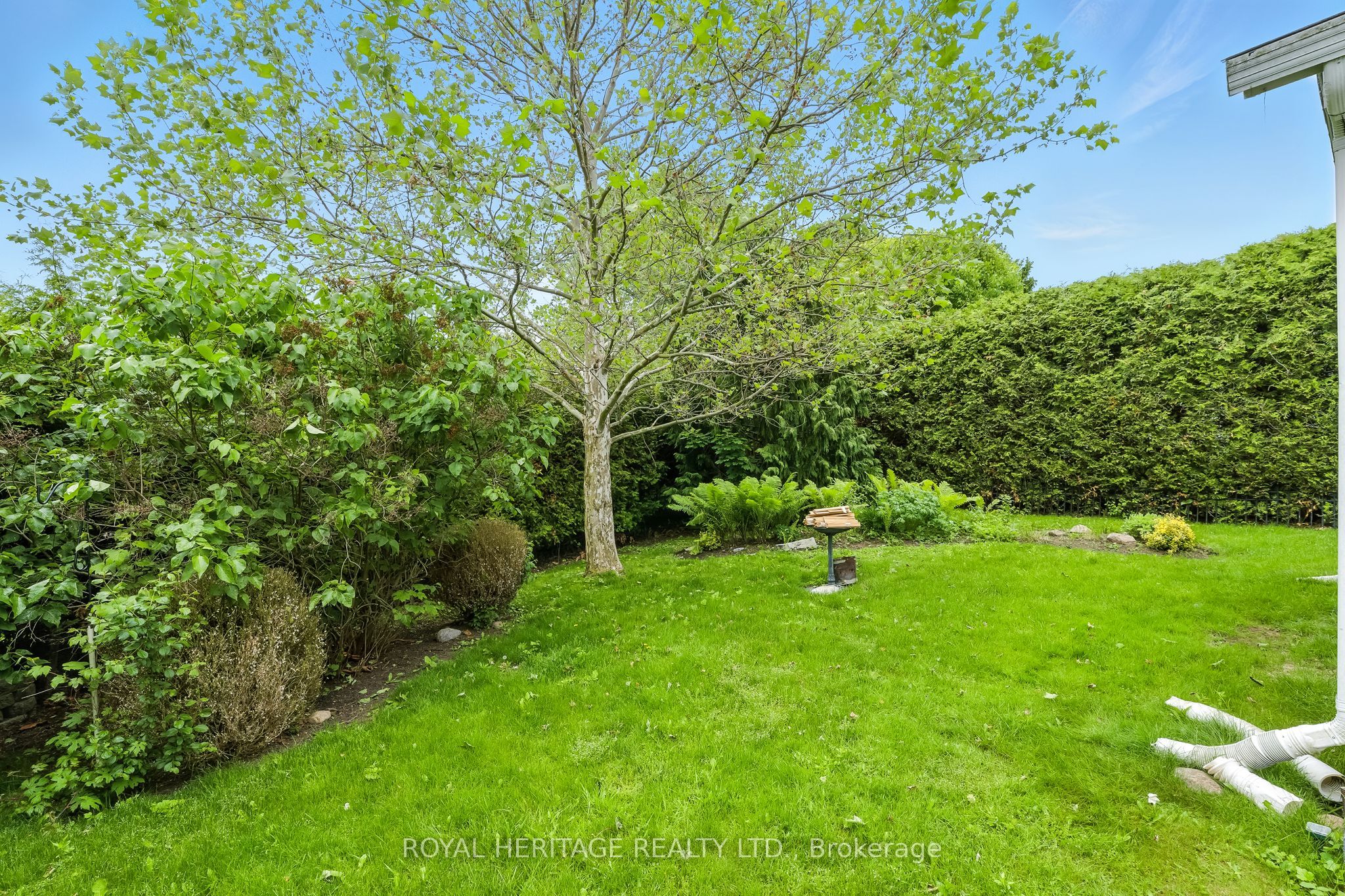 23 Mills Road Property Photo 32