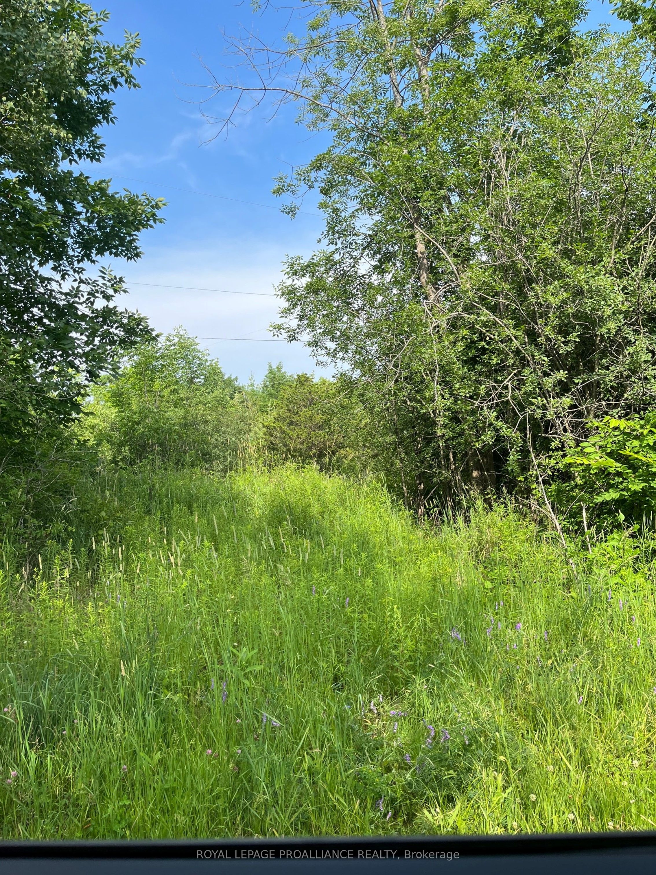 Ptlt14 Con 3 N/a Property Photo 1