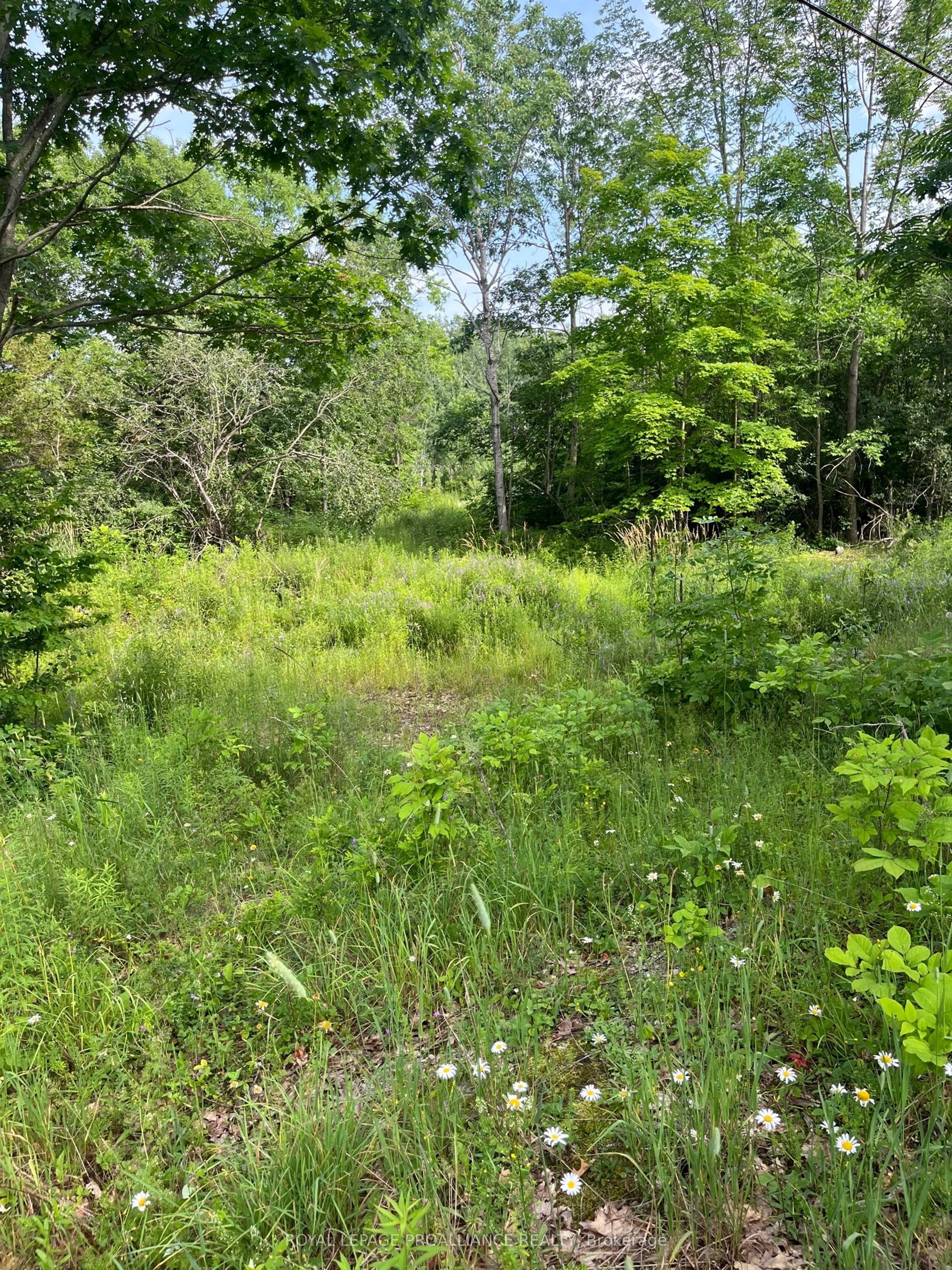 Ptlt14 Con 3 N/a Property Photo 2