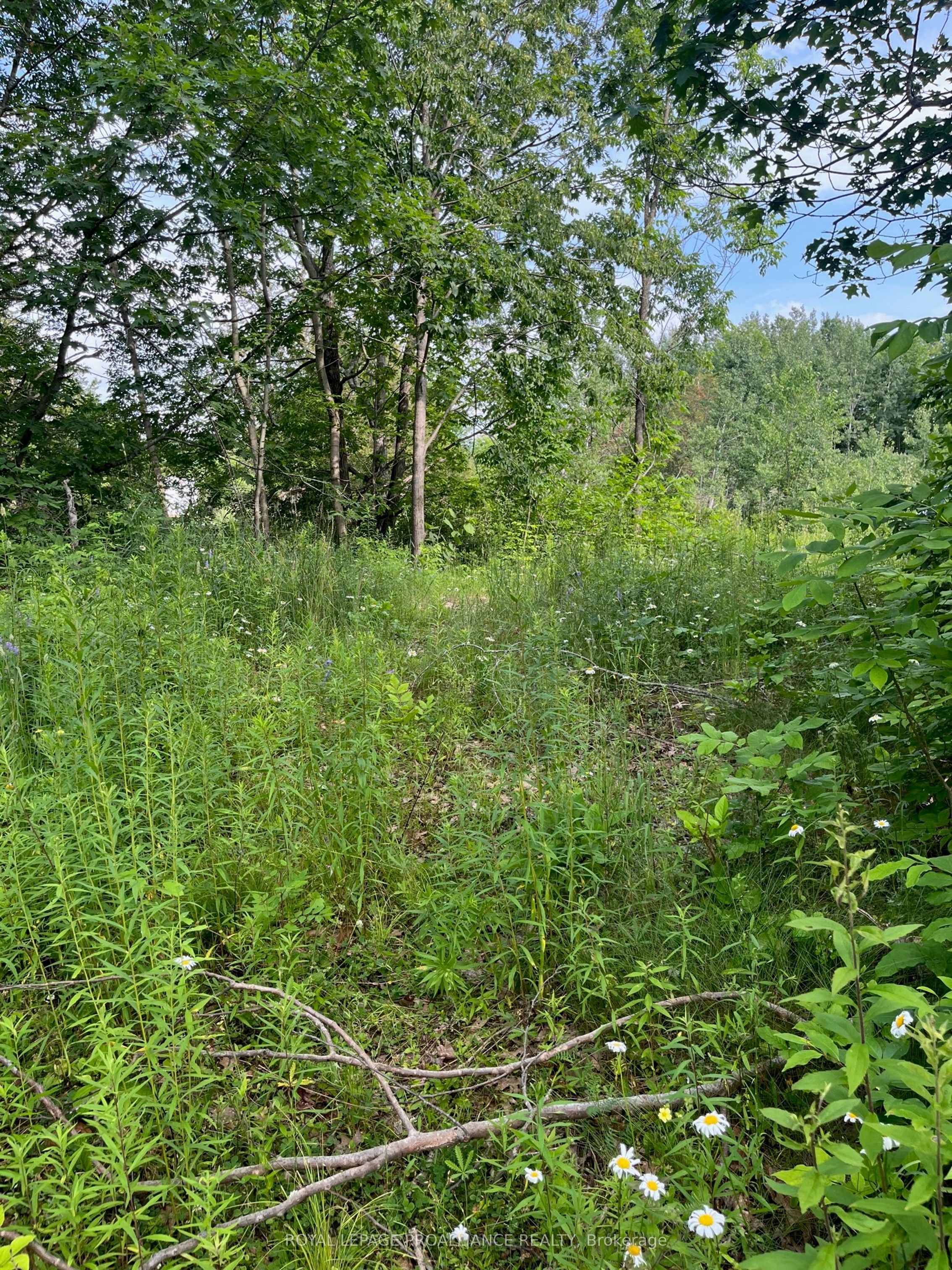 Ptlt14 Con 3 N/a Property Photo 3