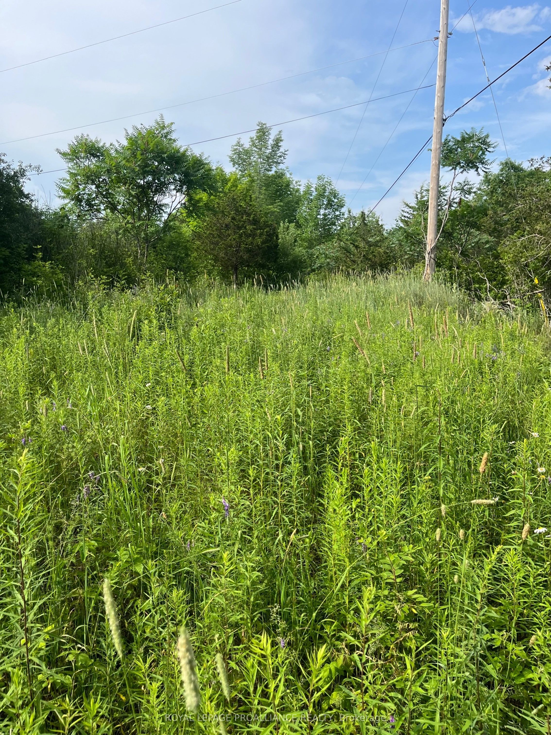 Ptlt14 Con 3 N/a Property Photo 4