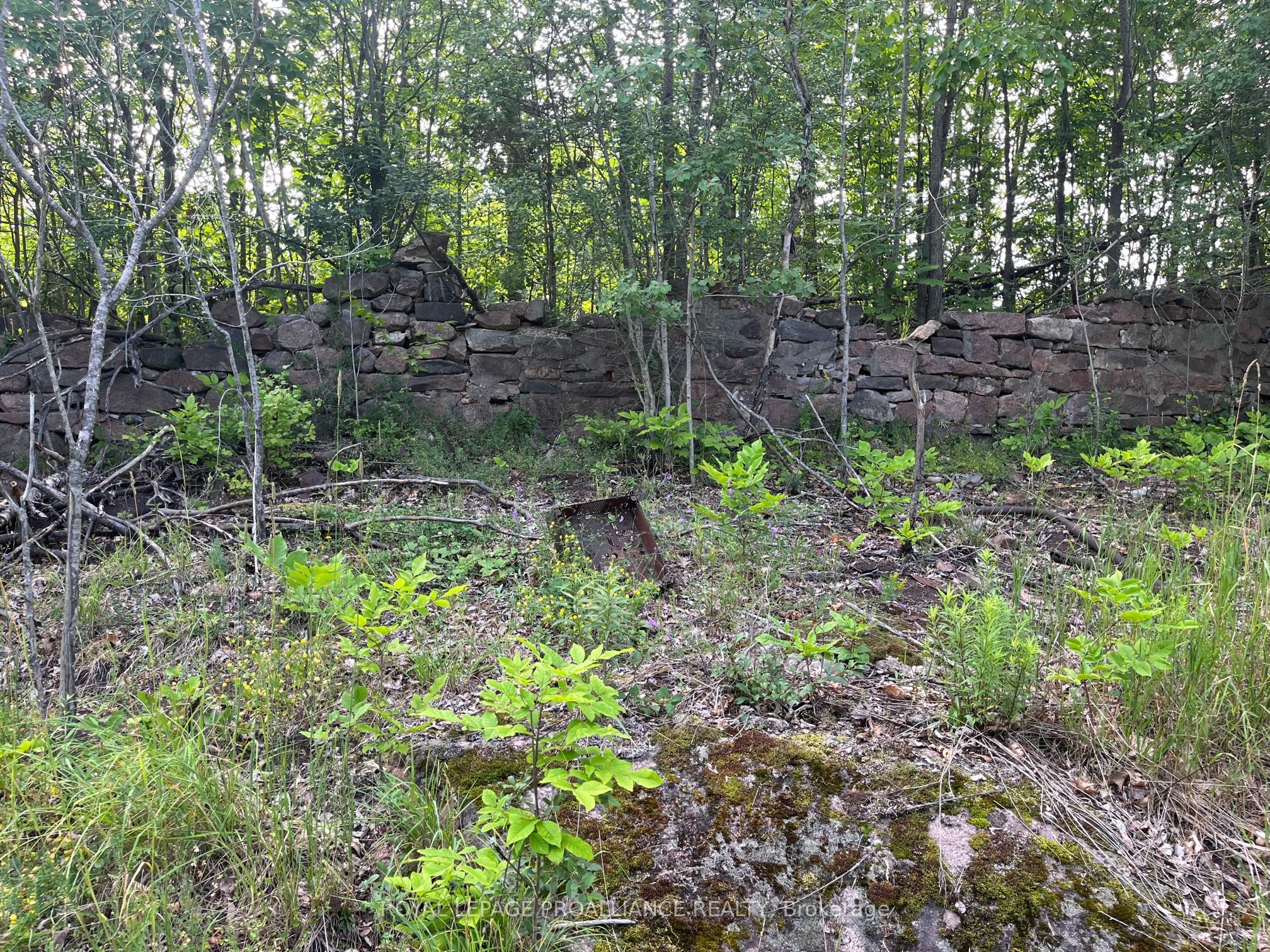 Ptlt14 Con 3 N/a Property Photo 5