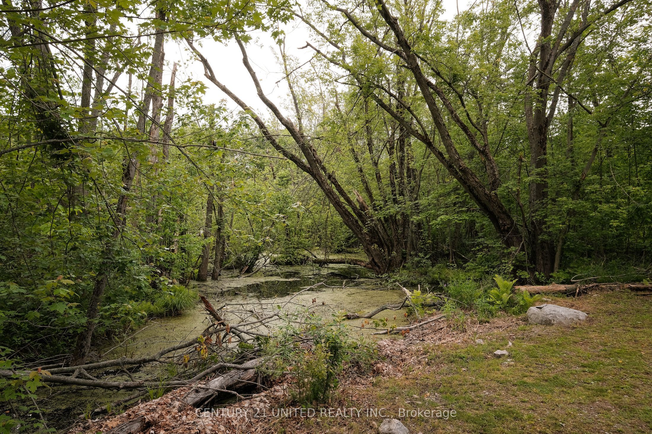 4 Rollies Bay Road E Property Photo 29