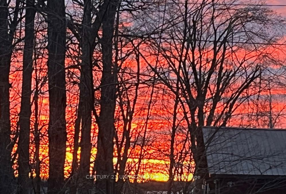 4 Rollies Bay Road E Property Photo 32