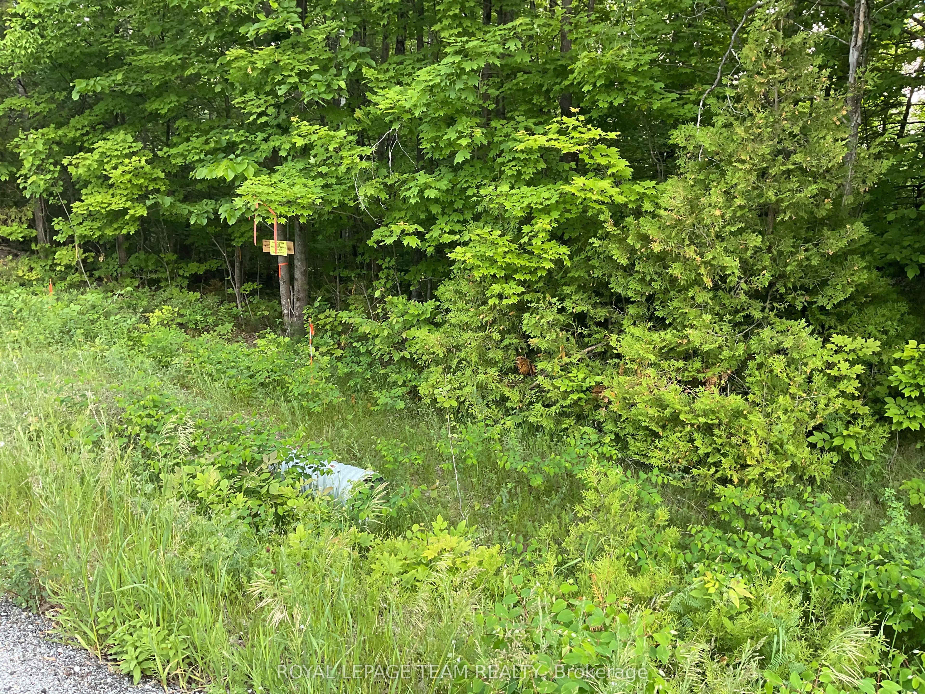 0 Cty Rd 511 Road Property Photo 1