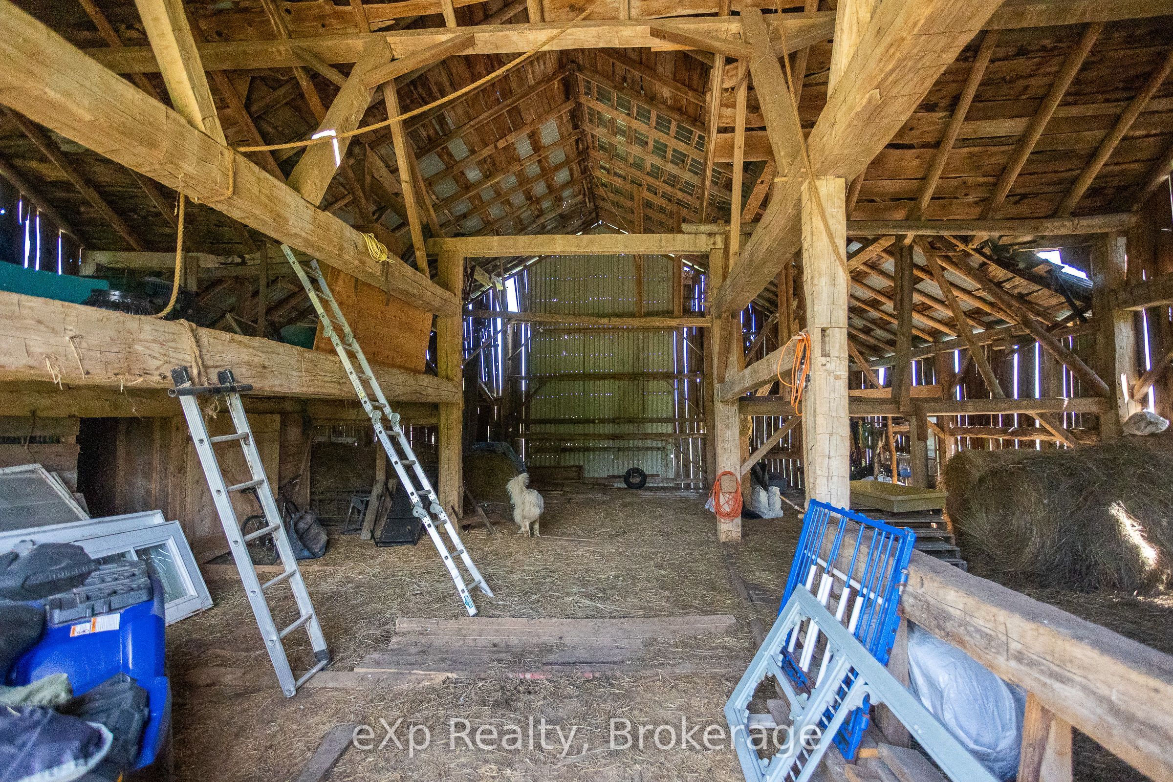 58111 12th Line Property Photo 37
