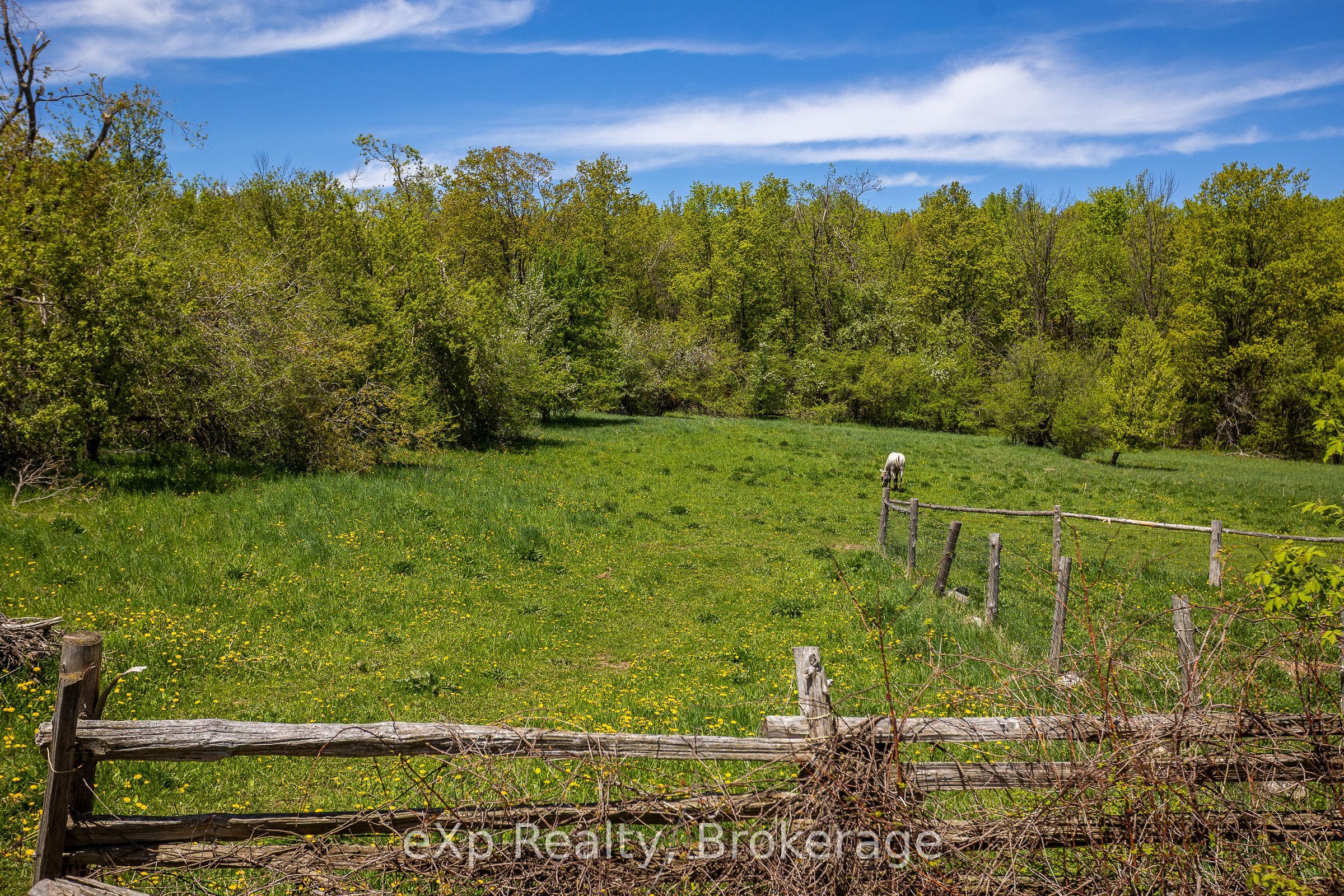 58111 12th Line Property Photo 39