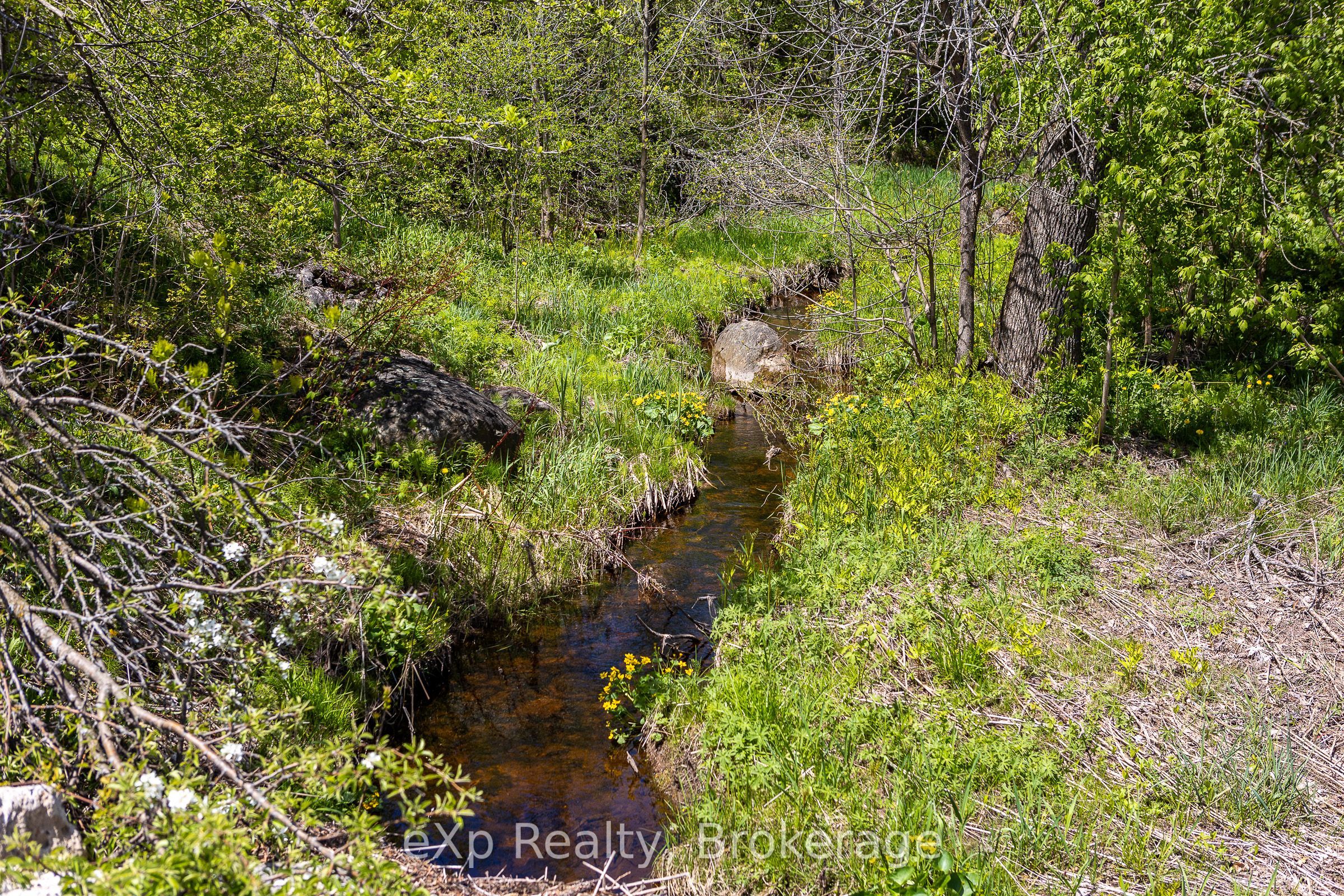 58111 12th Line Property Photo 40