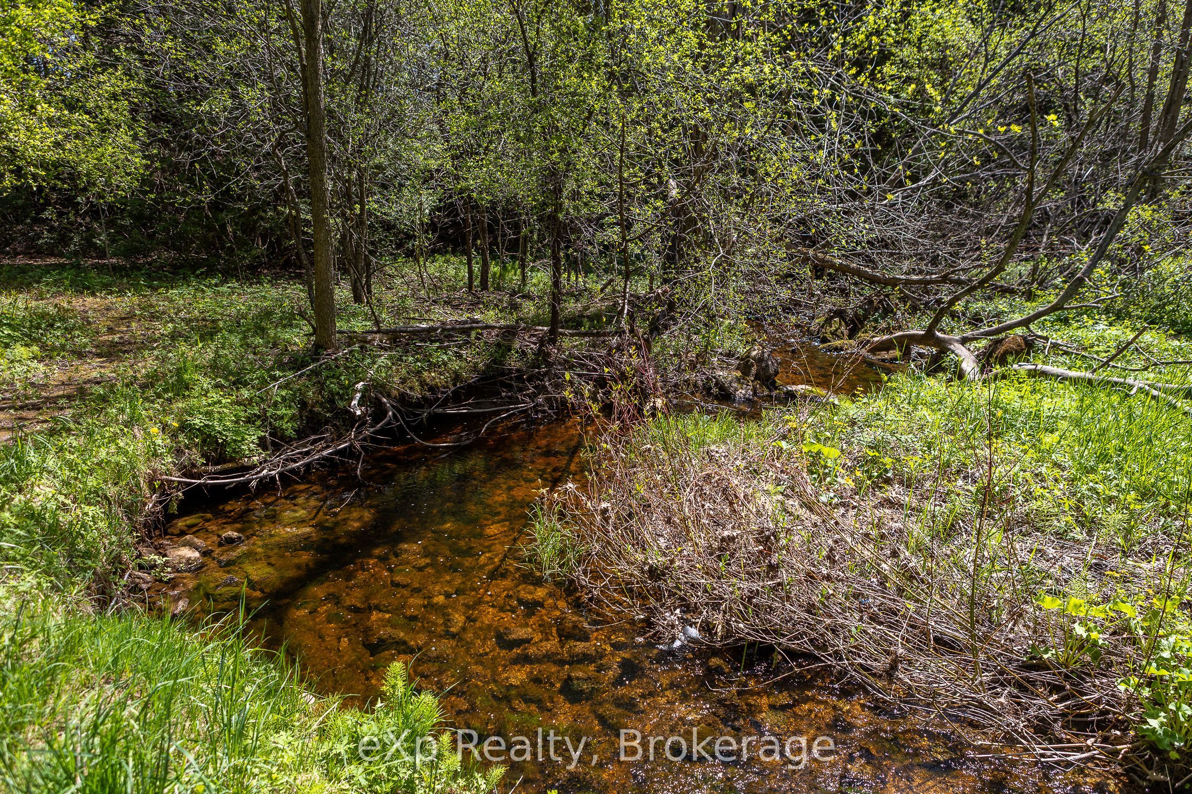 58111 12th Line Property Photo 41