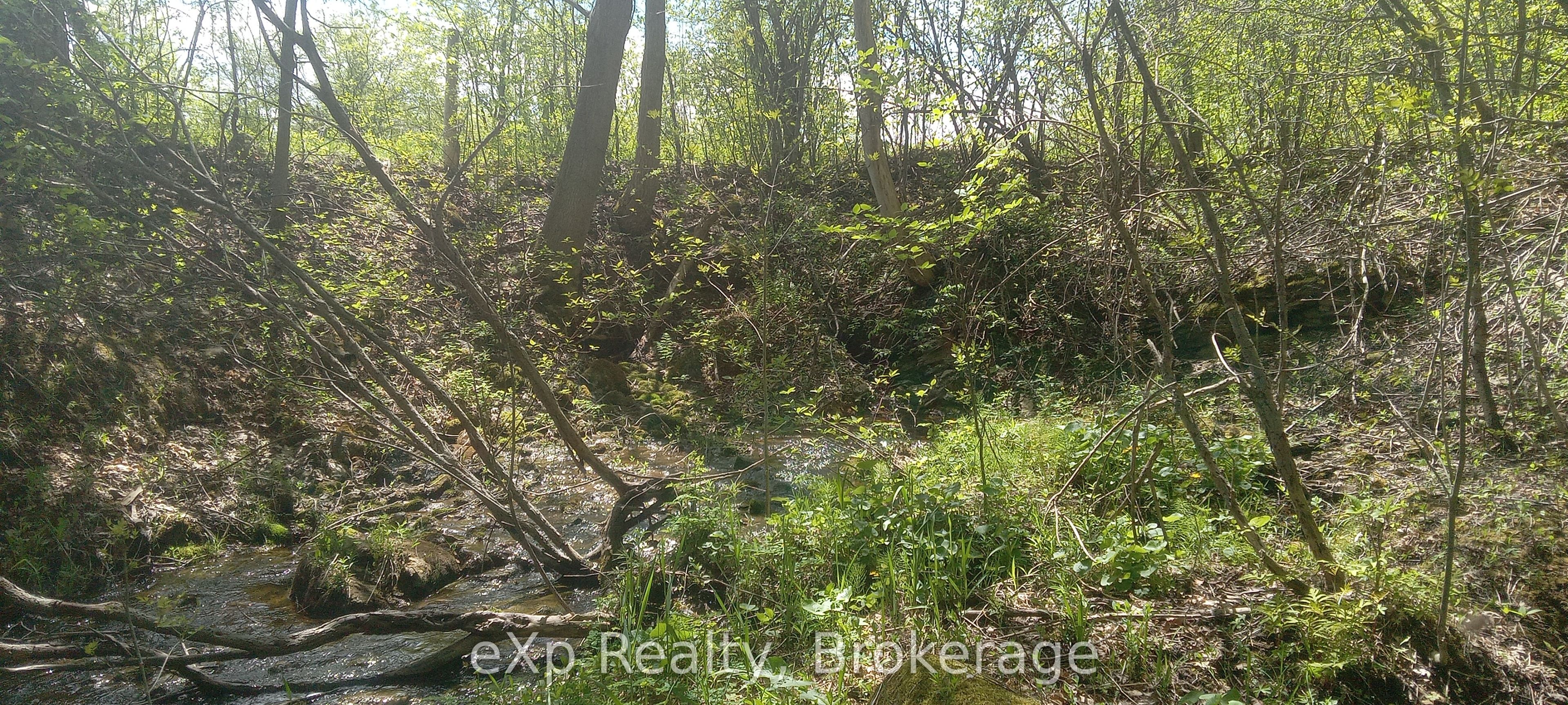 58111 12th Line Property Photo 42