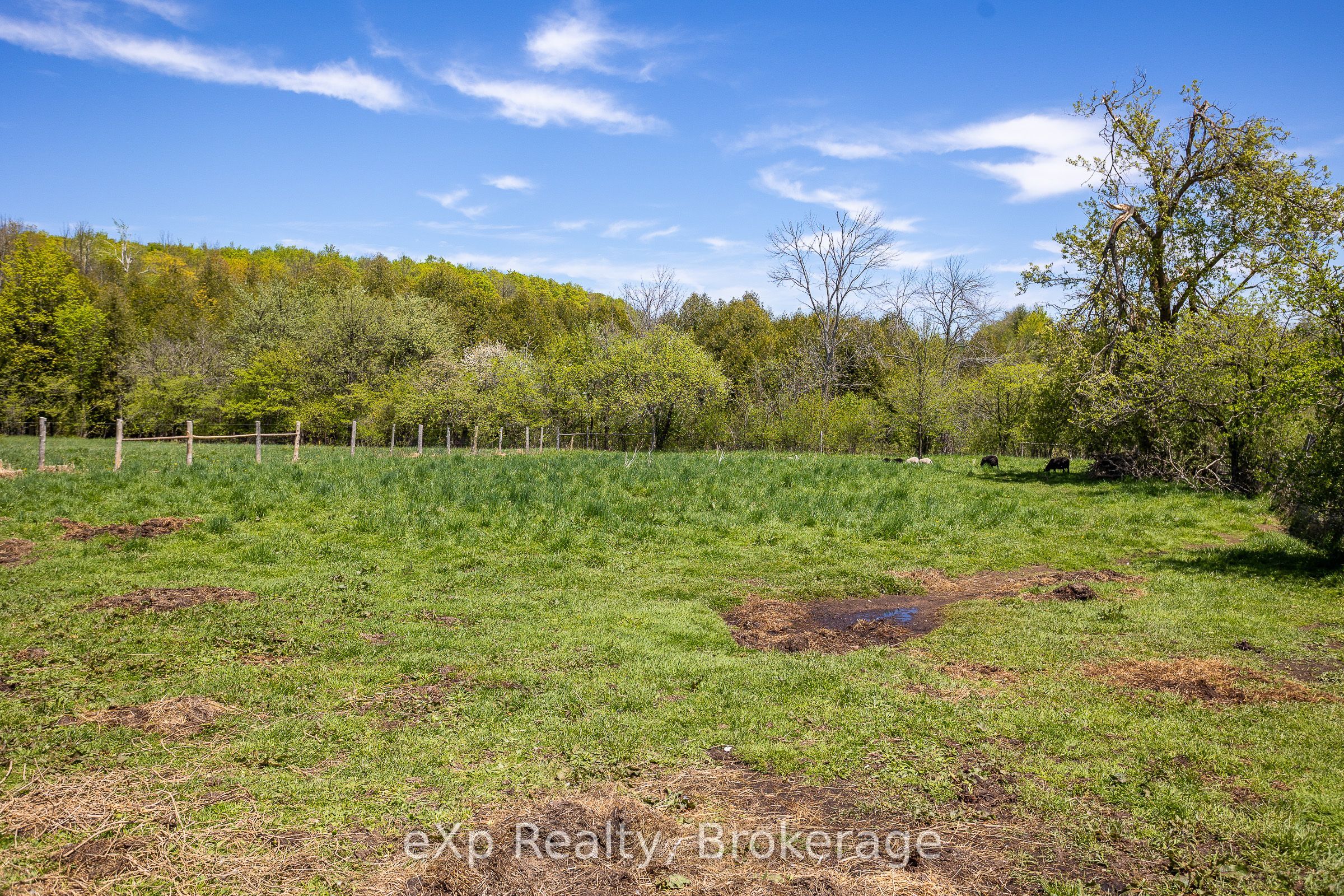 58111 12th Line Property Photo 44