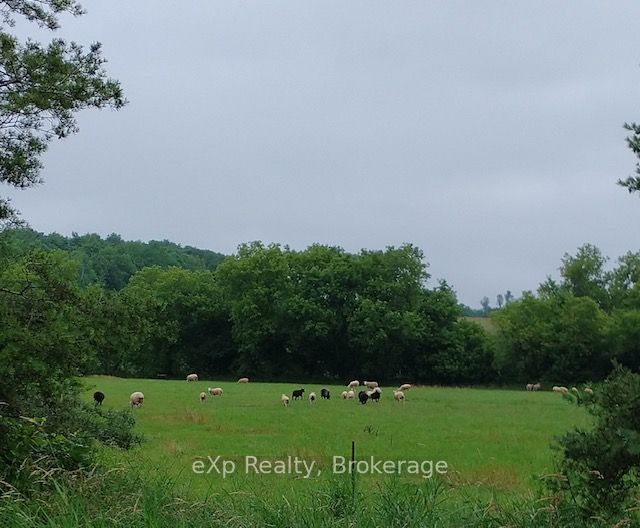 58111 12th Line Property Photo 45