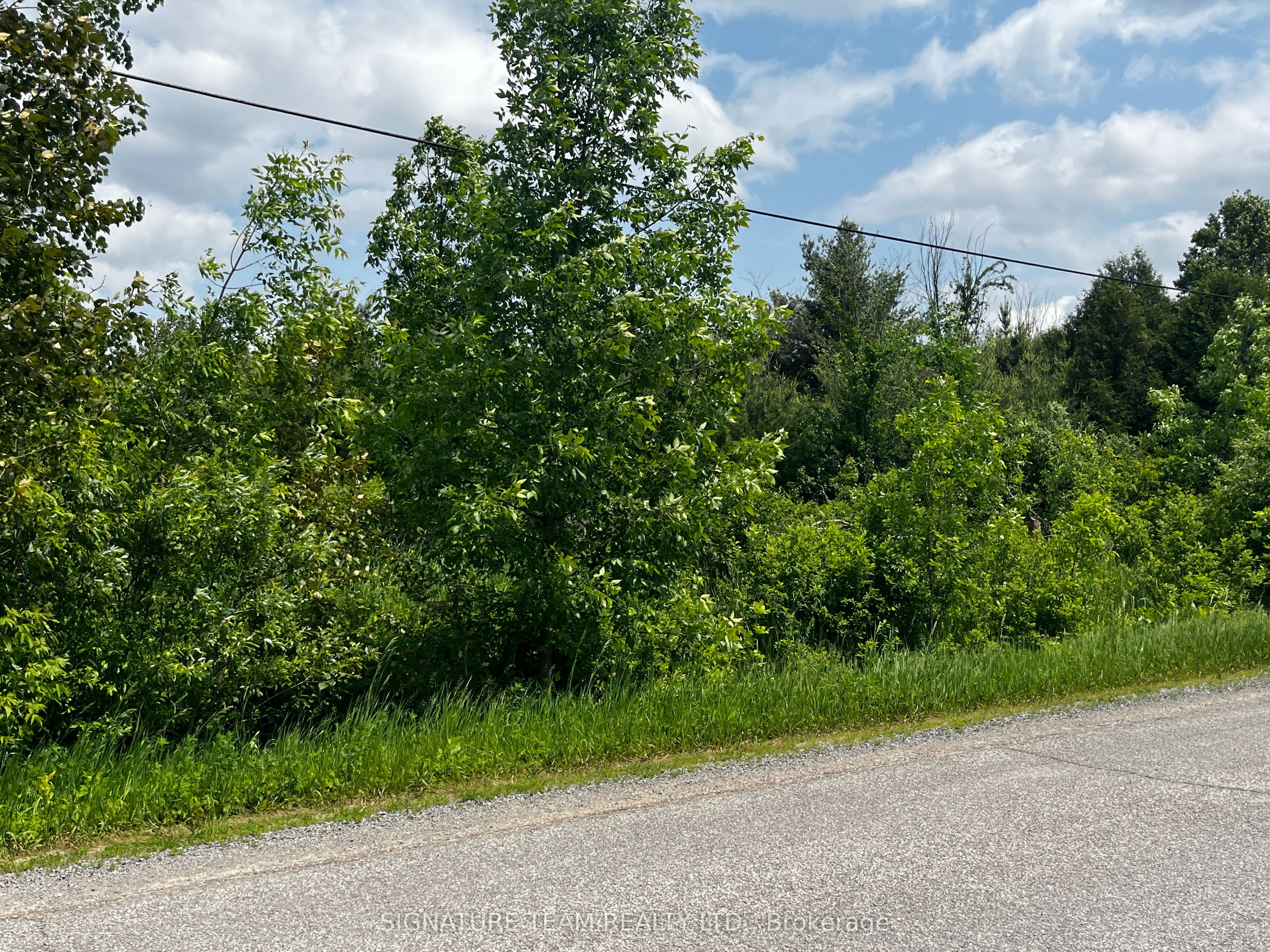 Lot 1 Micksburg Road Property Photo 1