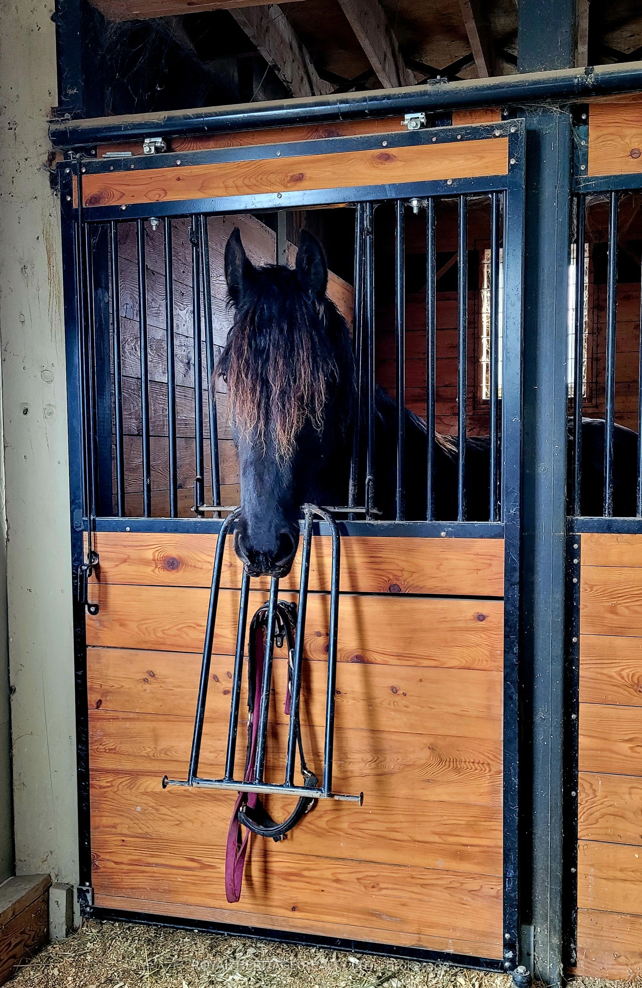 1201 Salem Road Property Photo 37