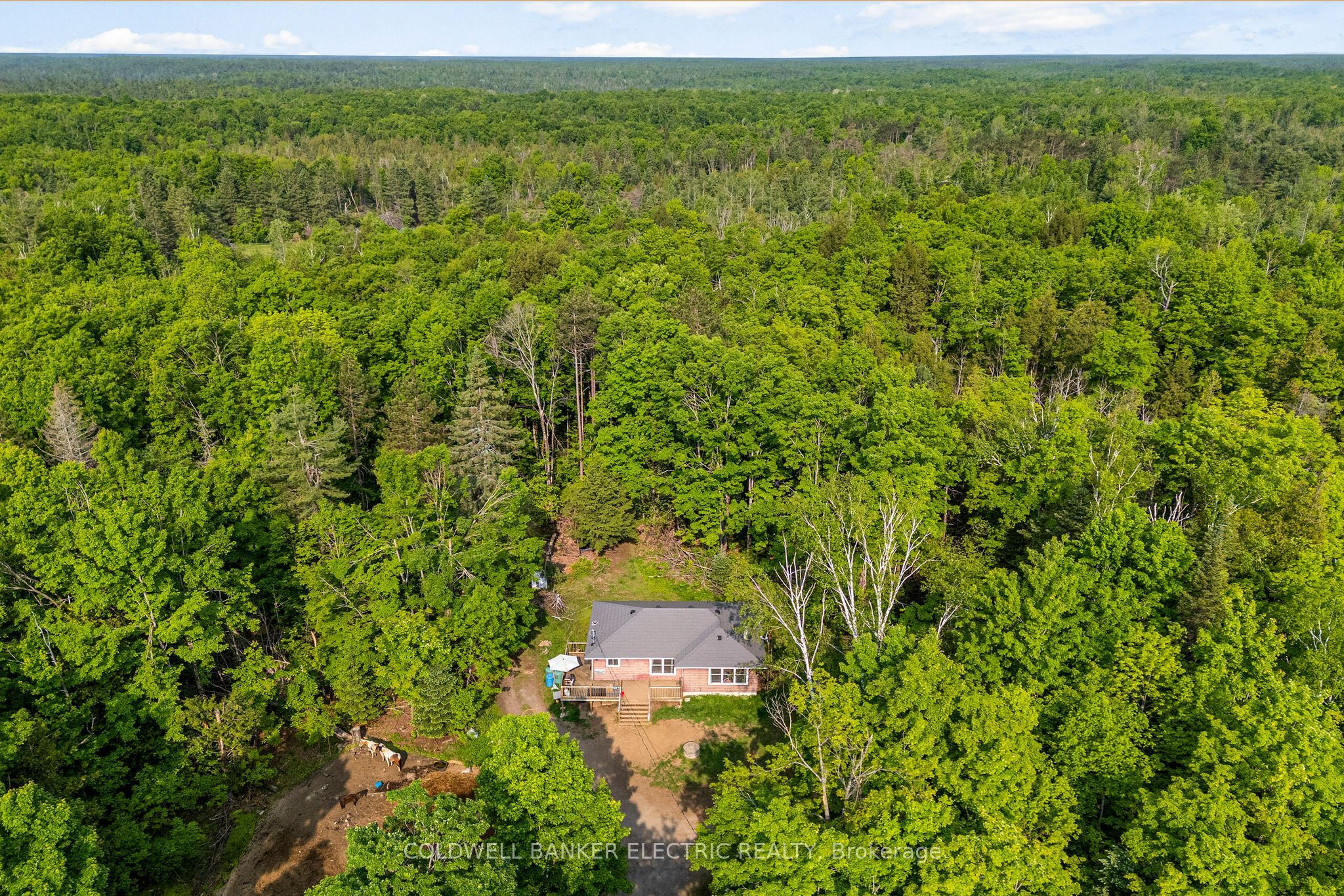 8248 County Road 46 Road