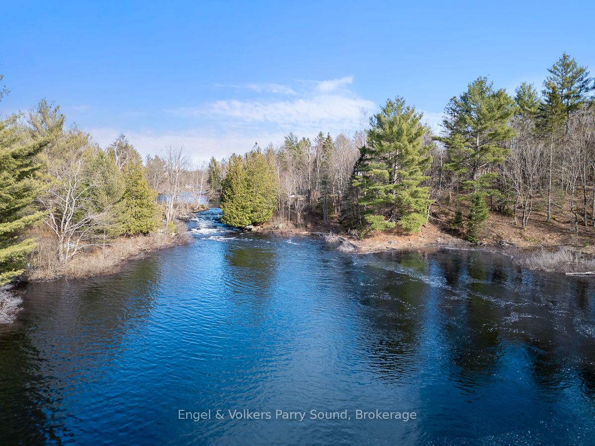 699 Bunny Trail Property Photo 1