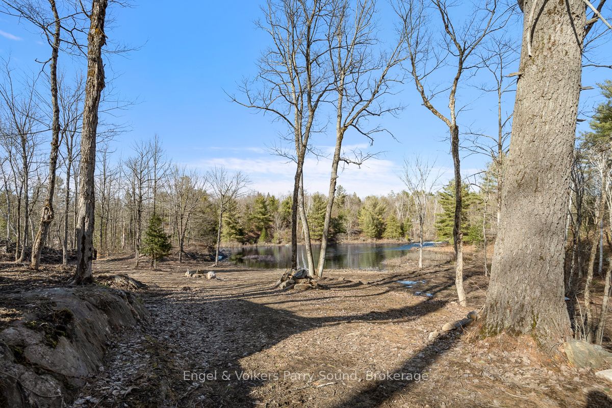 699 Bunny Trail Property Photo 2