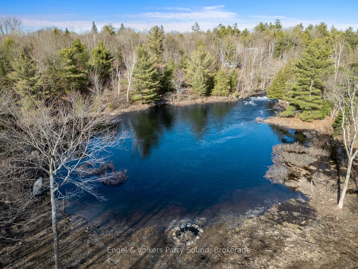 699 Bunny Trail Property Photo 3