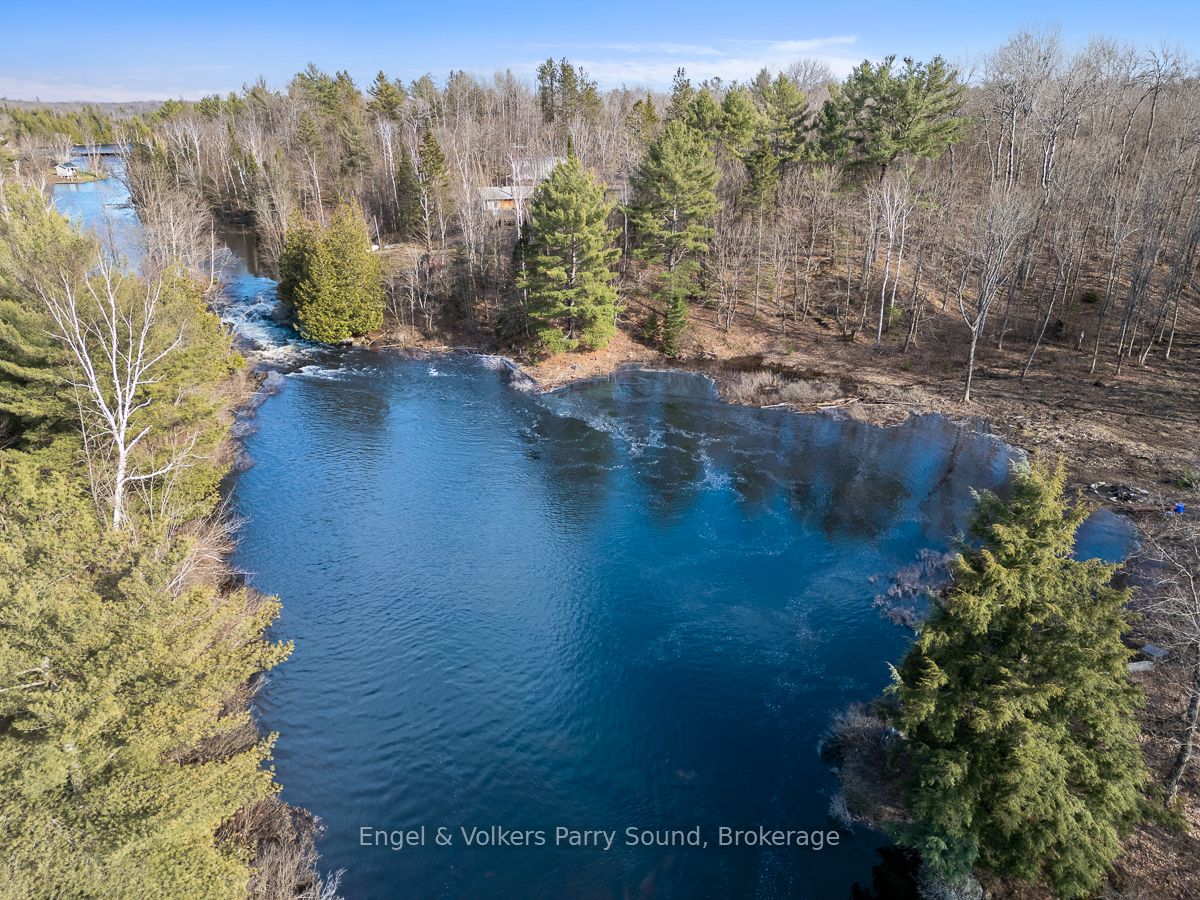 699 Bunny Trail Property Photo 4