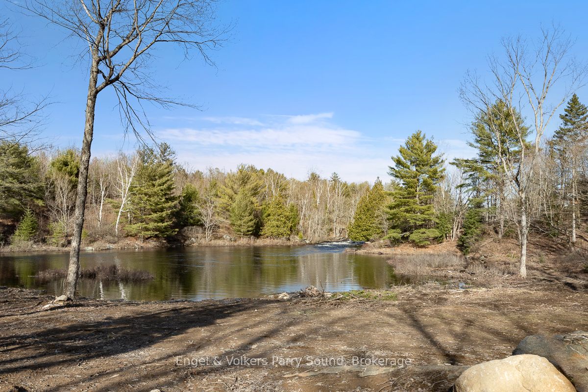 699 Bunny Trail Property Photo 5