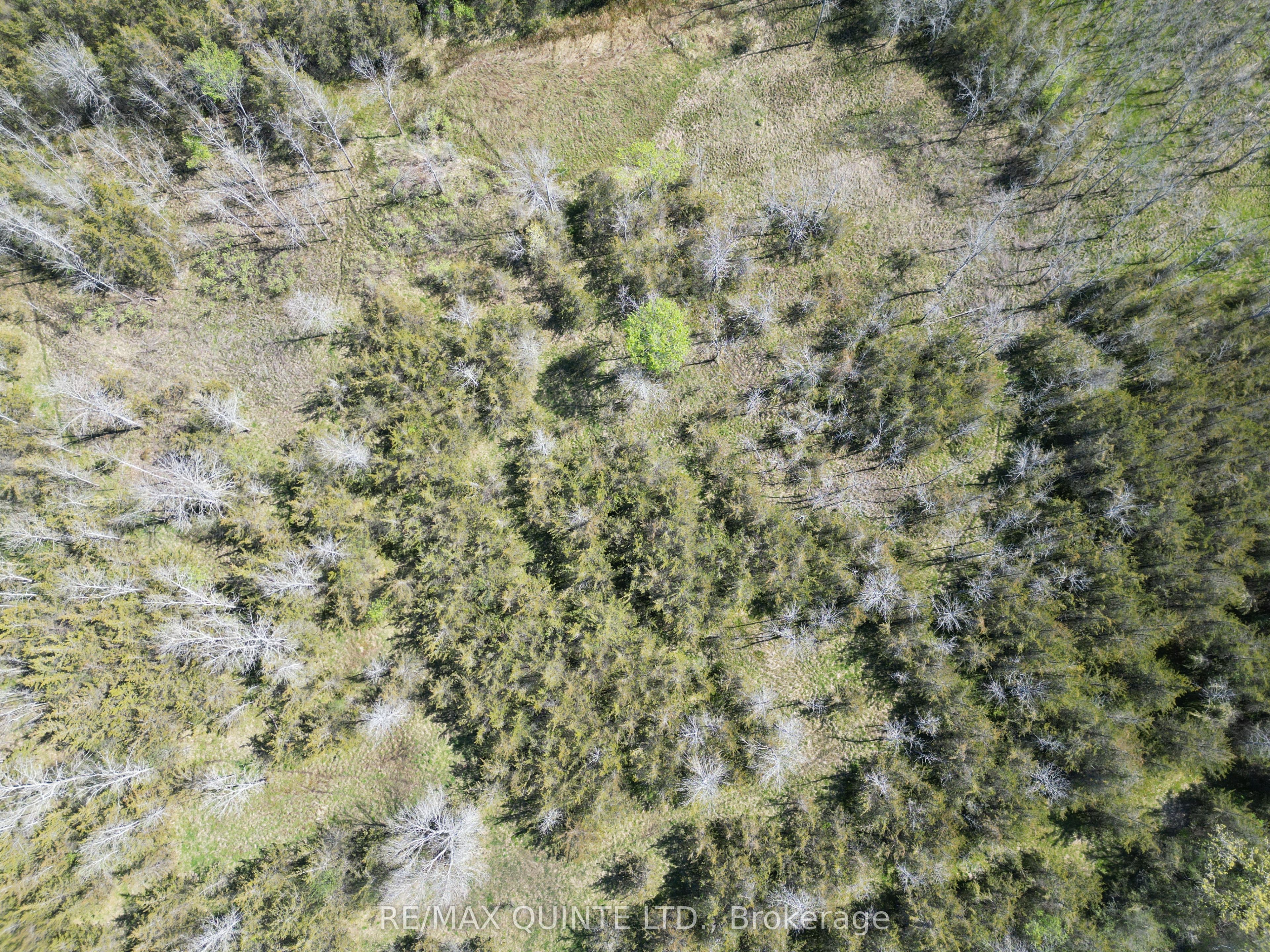 0 Abrams Road Part 2 Property Photo 6