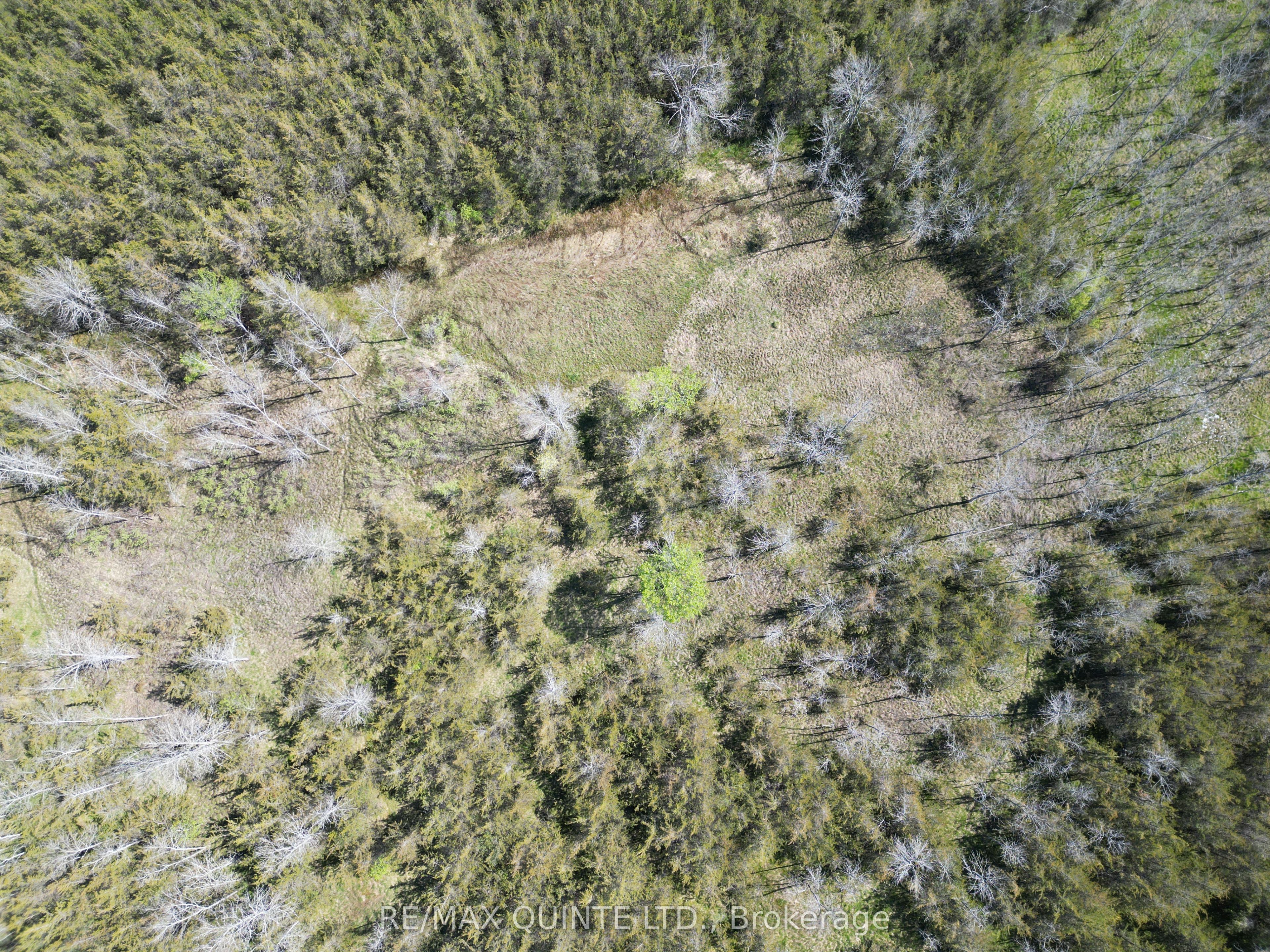 0 Abrams Road Part 2 Property Photo 7