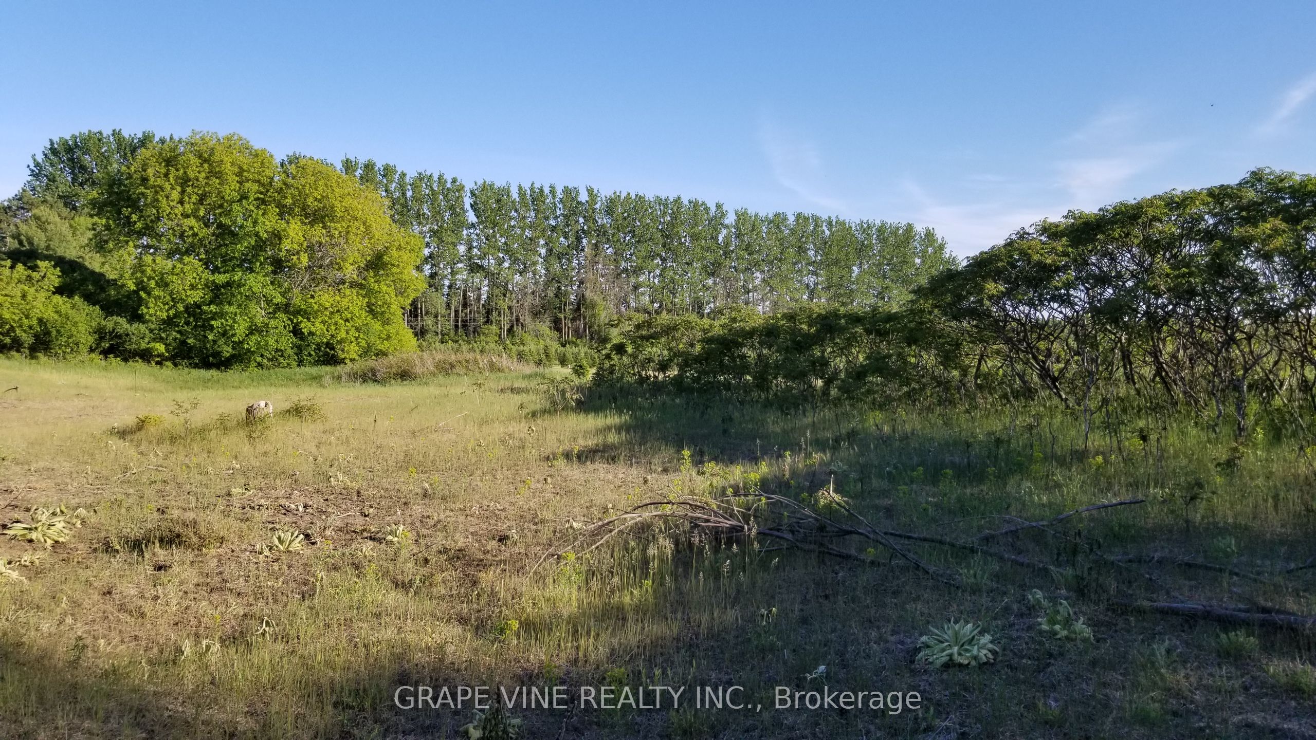 4599 Mohrs Road Property Photo 1