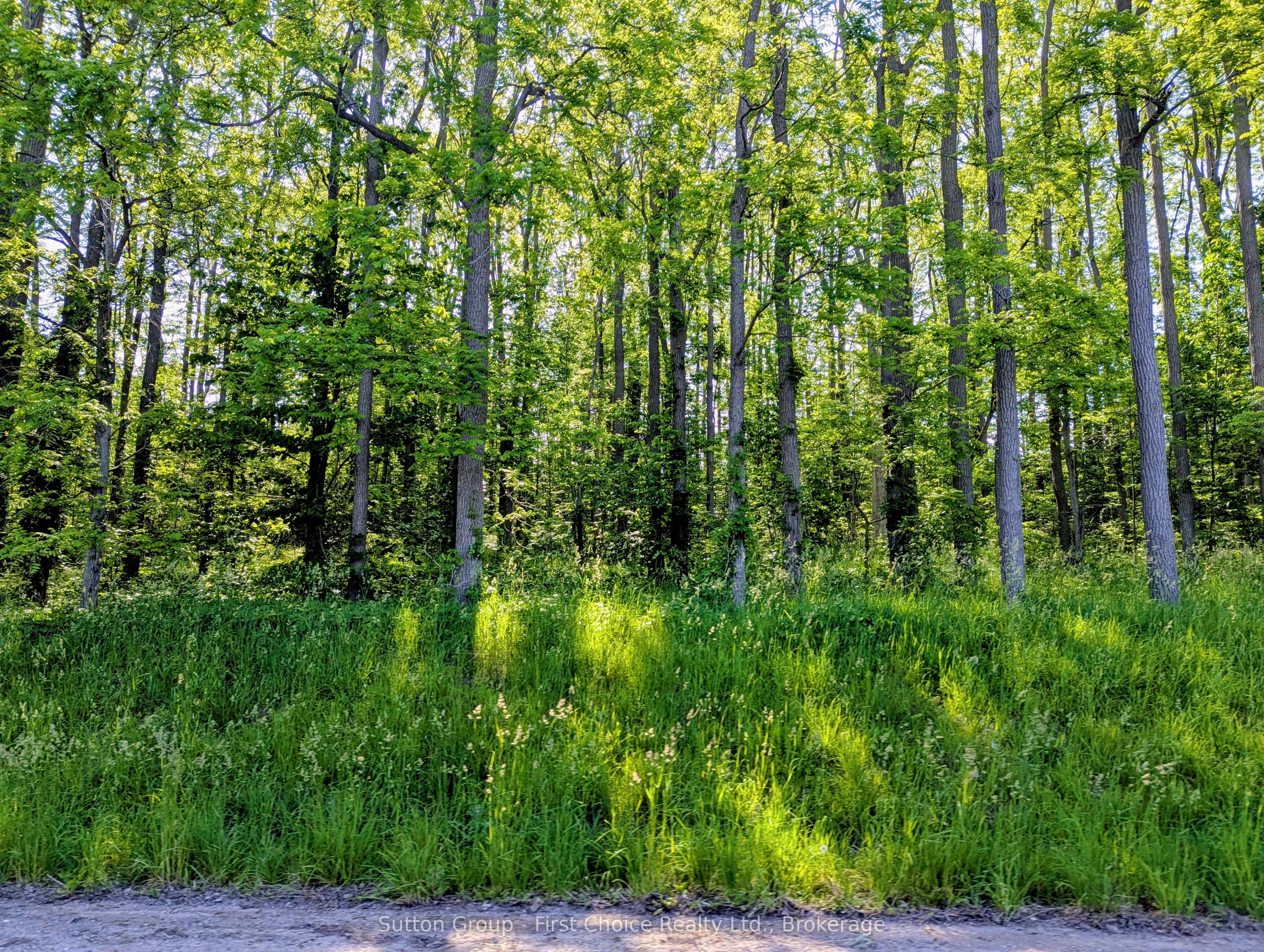 Lot 17 John Street Property Photo 1