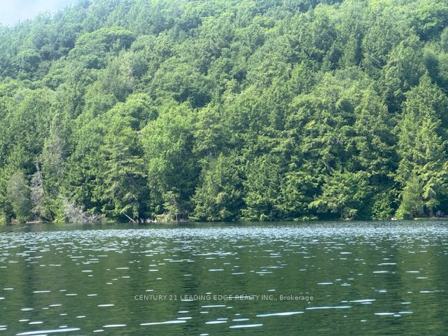 N/a Island Lake Road Property Photo 1