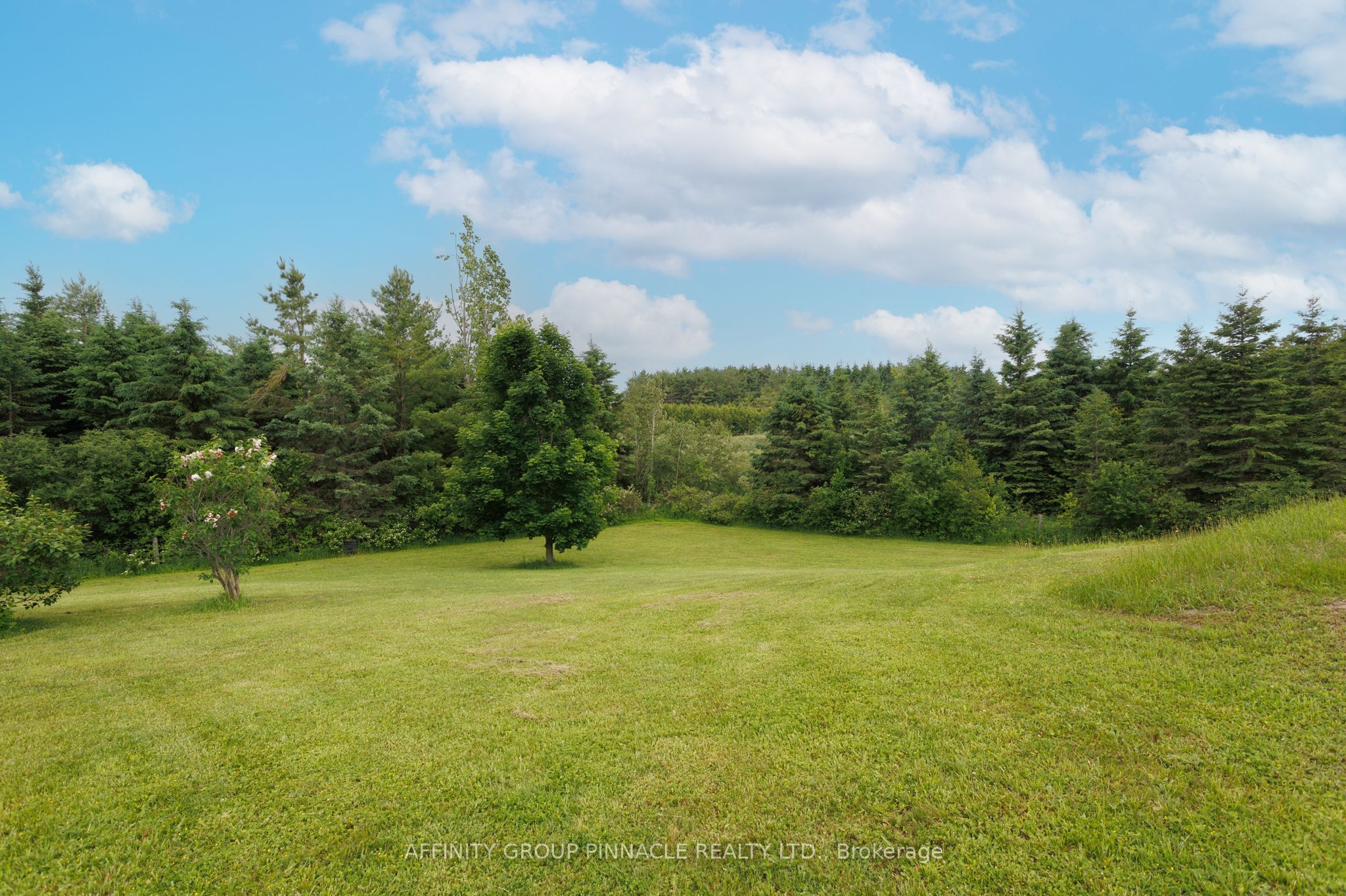 730 The Glen Road Property Photo 7