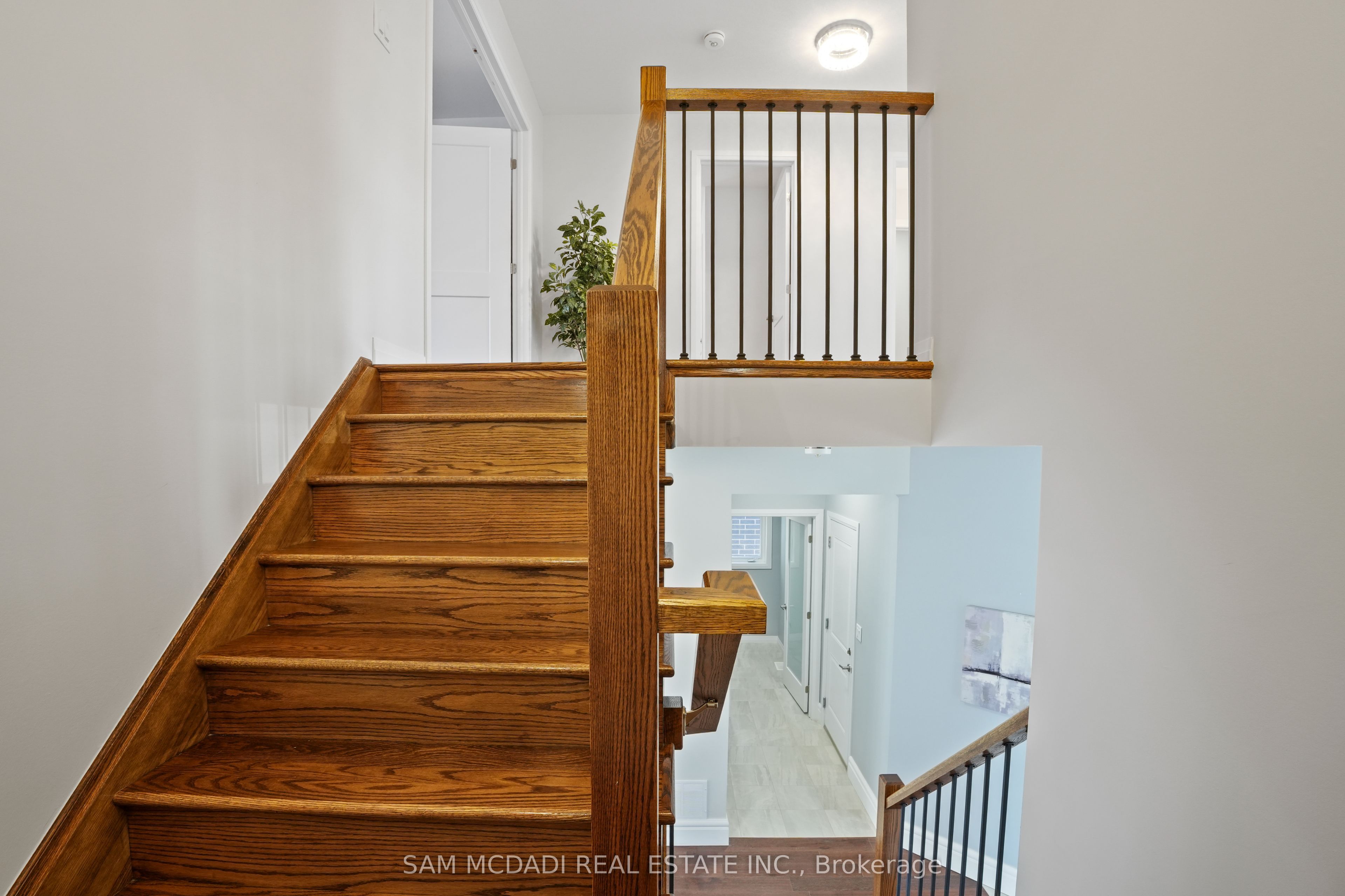 4037 Stadelbauer Drive Property Photo 13