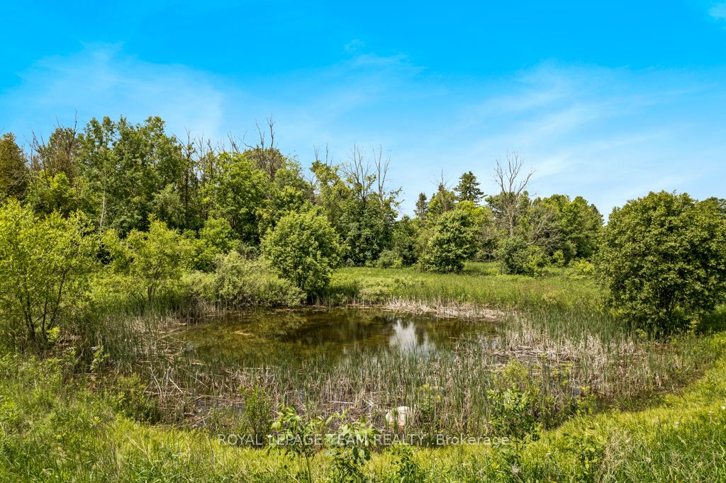 6116 Hurley Road Property Photo 46