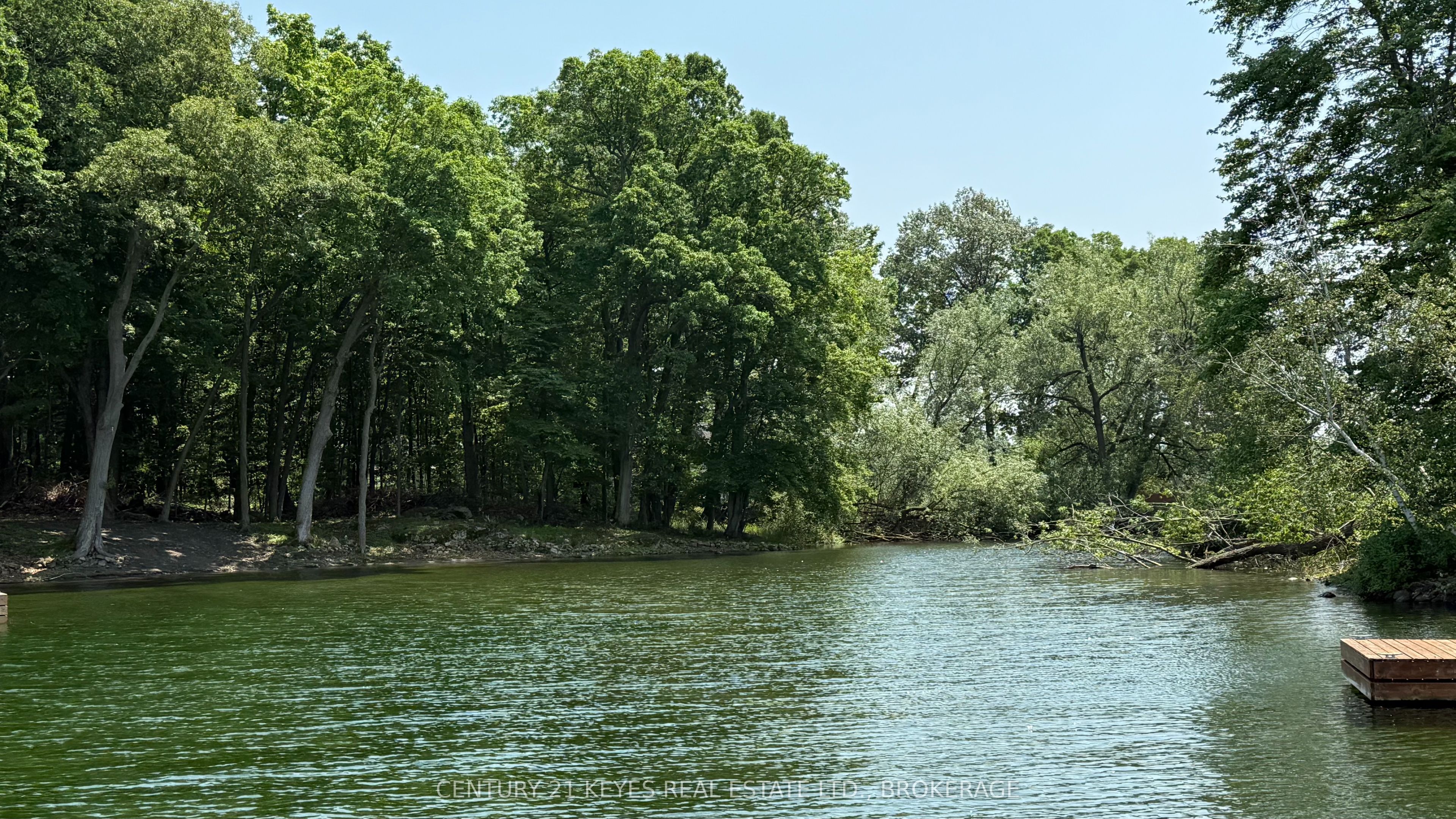 0 Treemont Island Property Photo 1