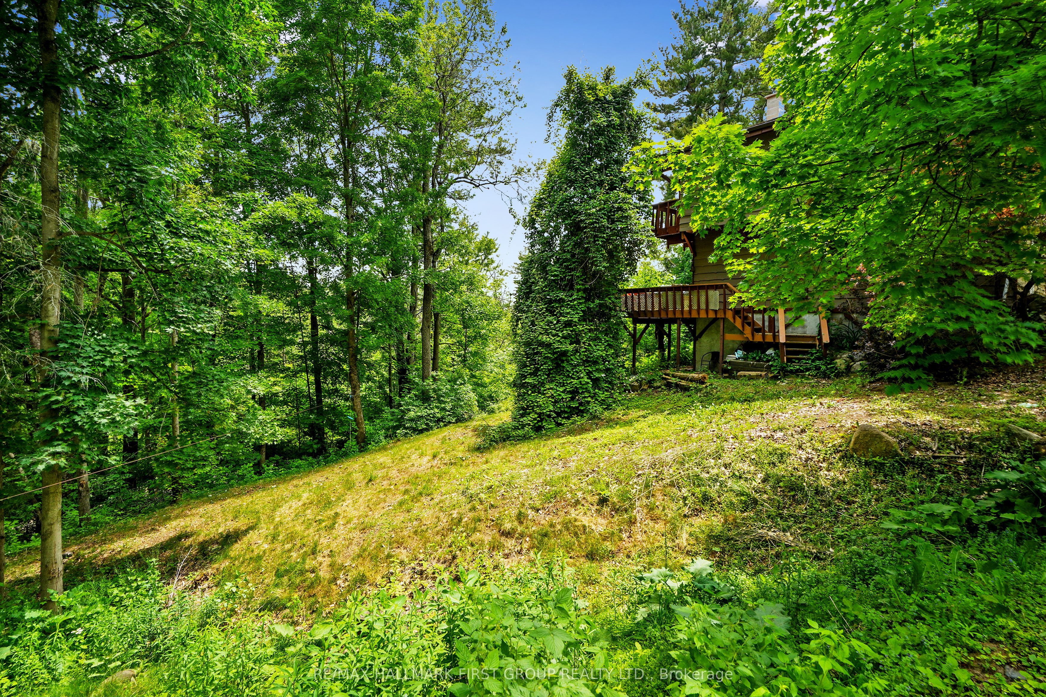 206 Pinnacle Hill Road Property Photo 39