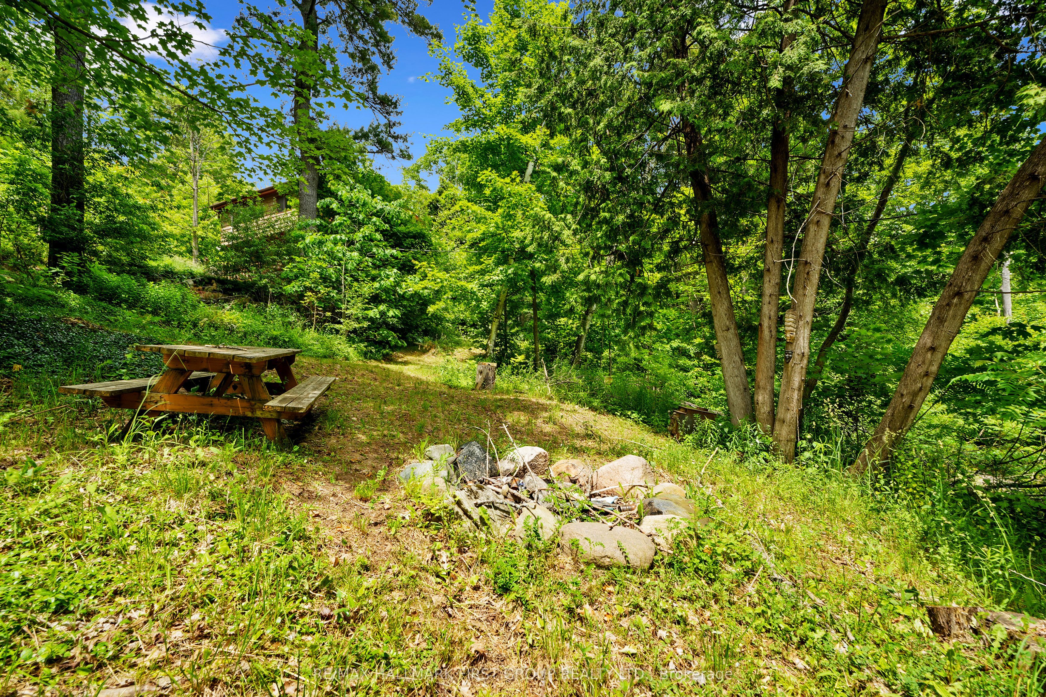 206 Pinnacle Hill Road Property Photo 40