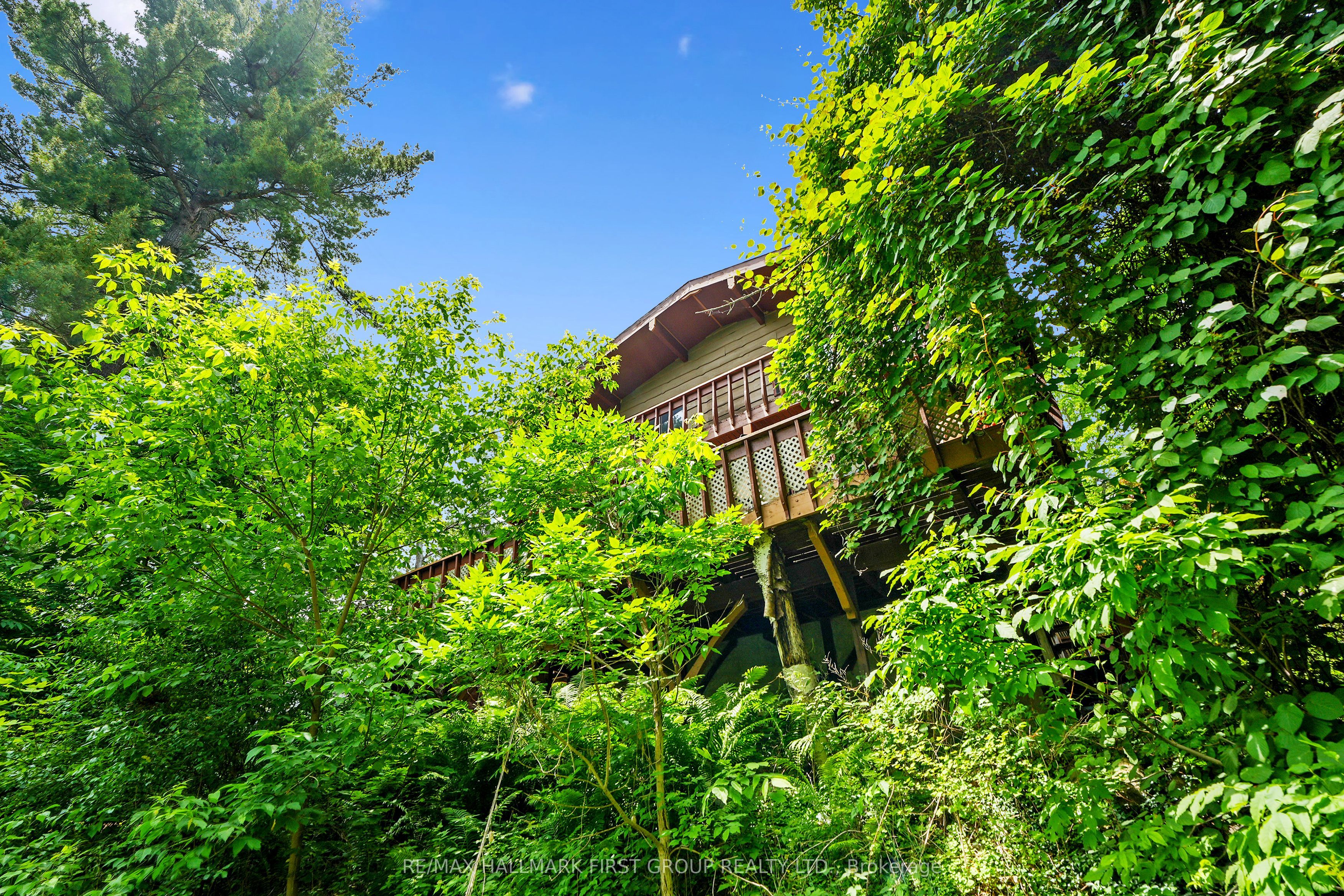 206 Pinnacle Hill Road Property Photo 41