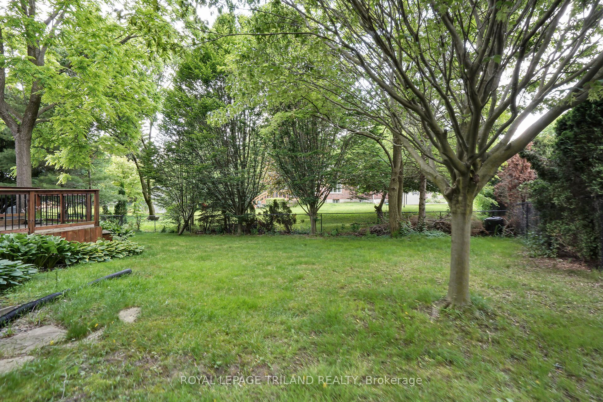 67 Robinson Lane Property Photo 6