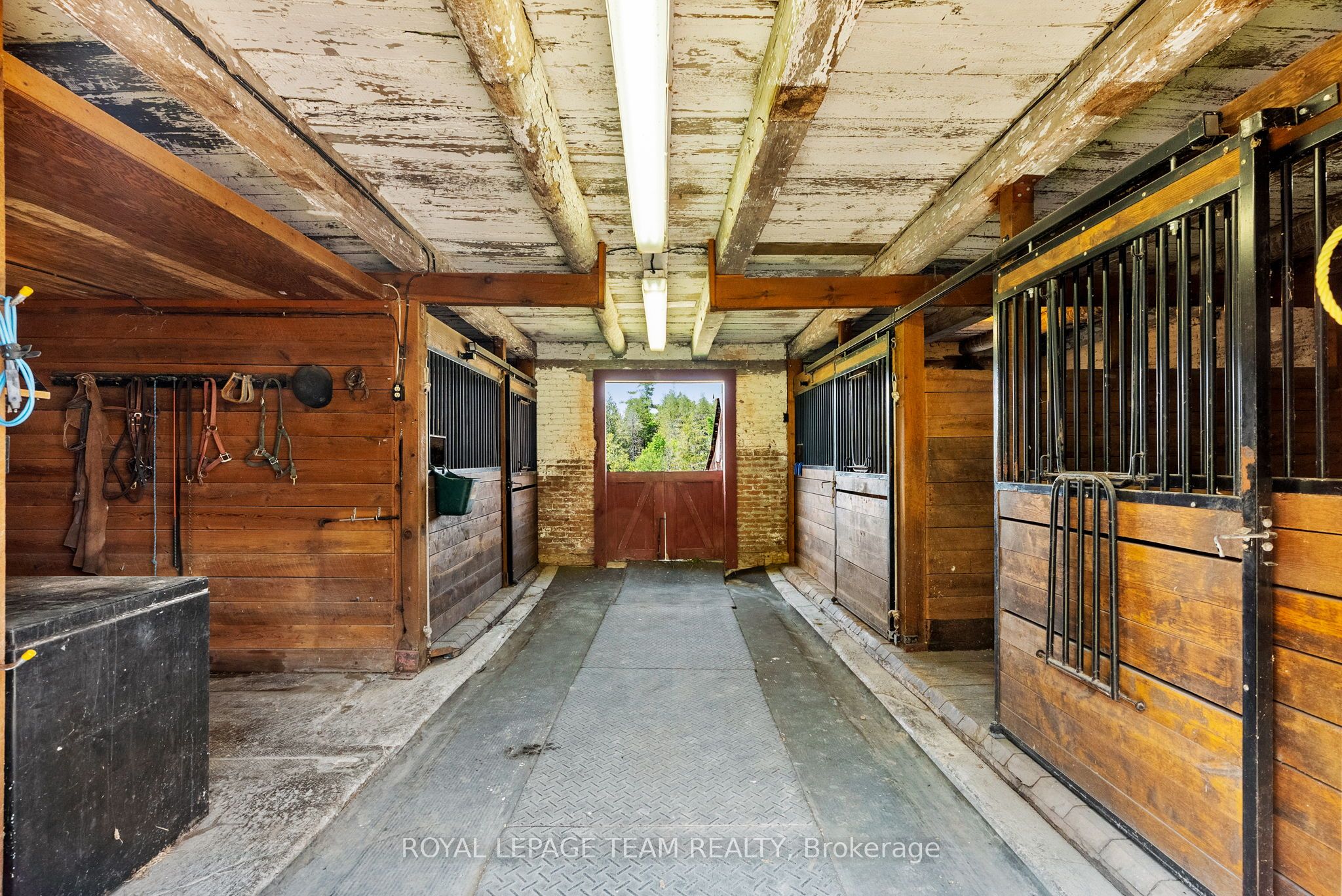 2553 Galetta Side Road Property Photo 34