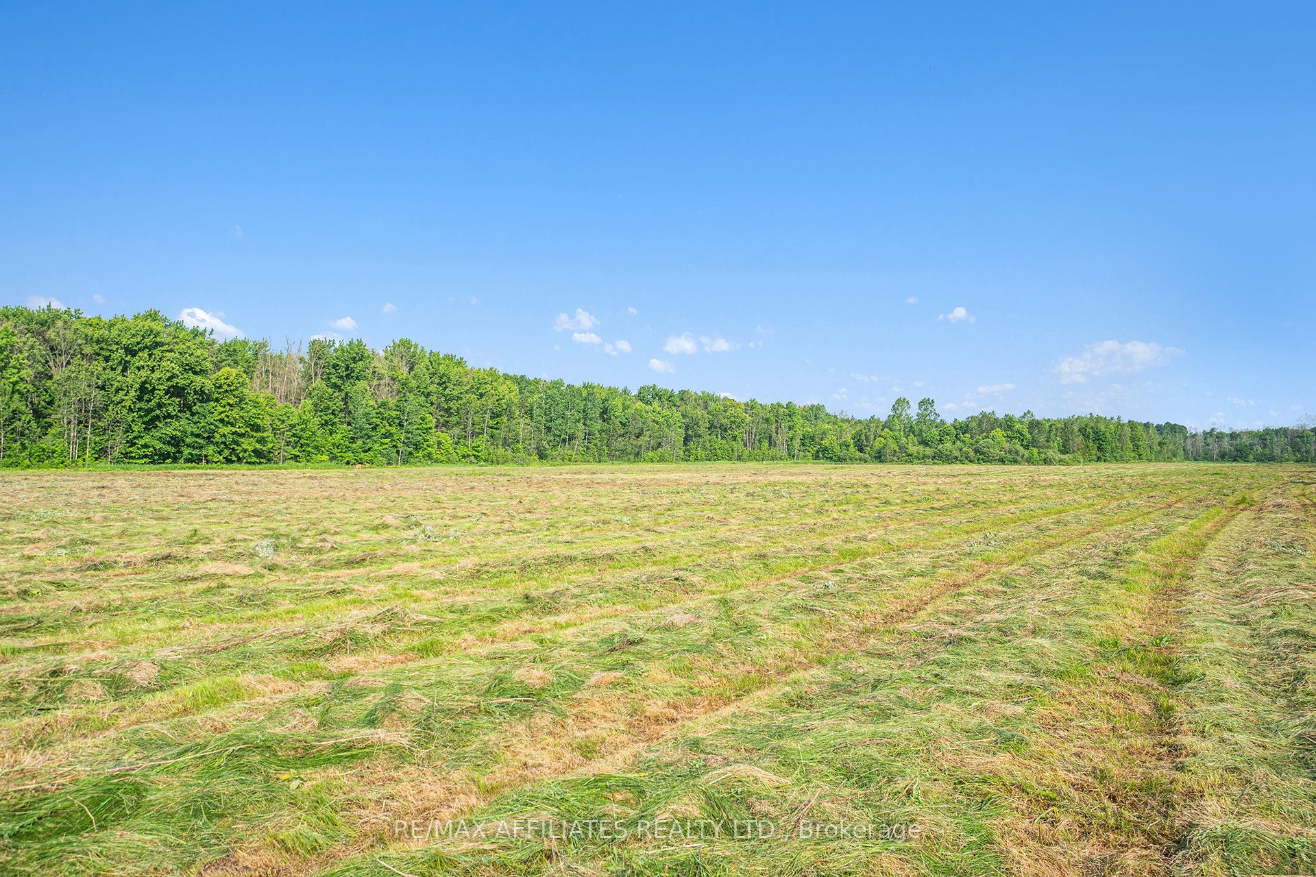 0 4th Concession Property Photo 4