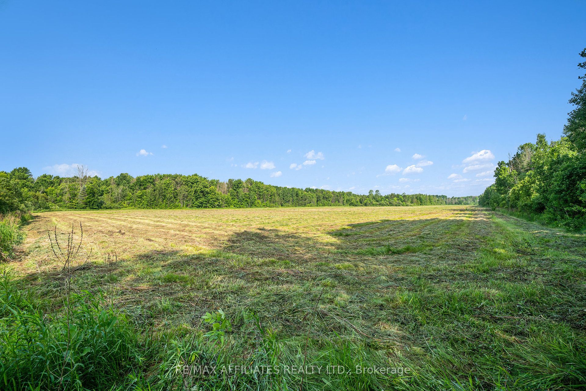 0 4th Concession Property Photo 6