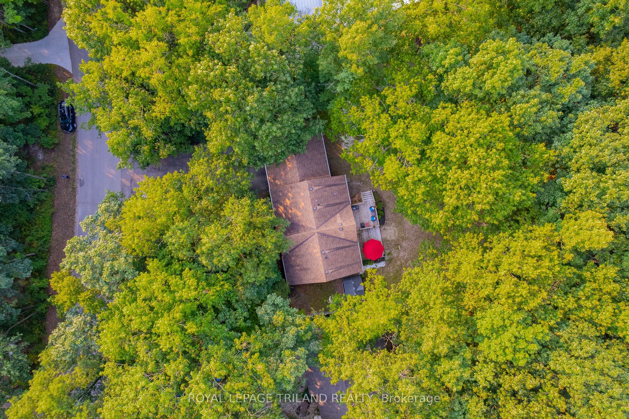 10248 Pinetree Dr Property Photo 1