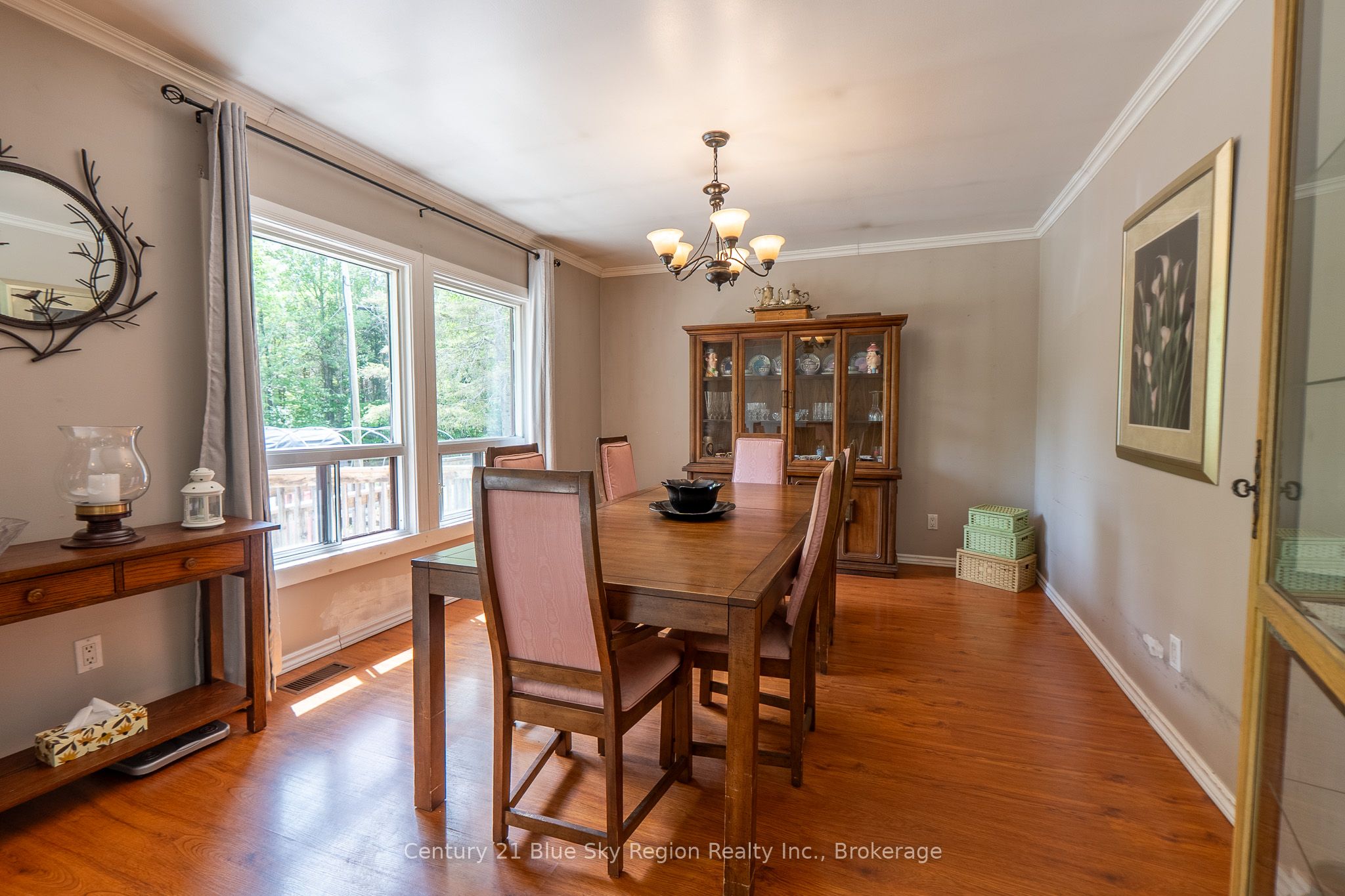 927 Albert Street Property Photo 6