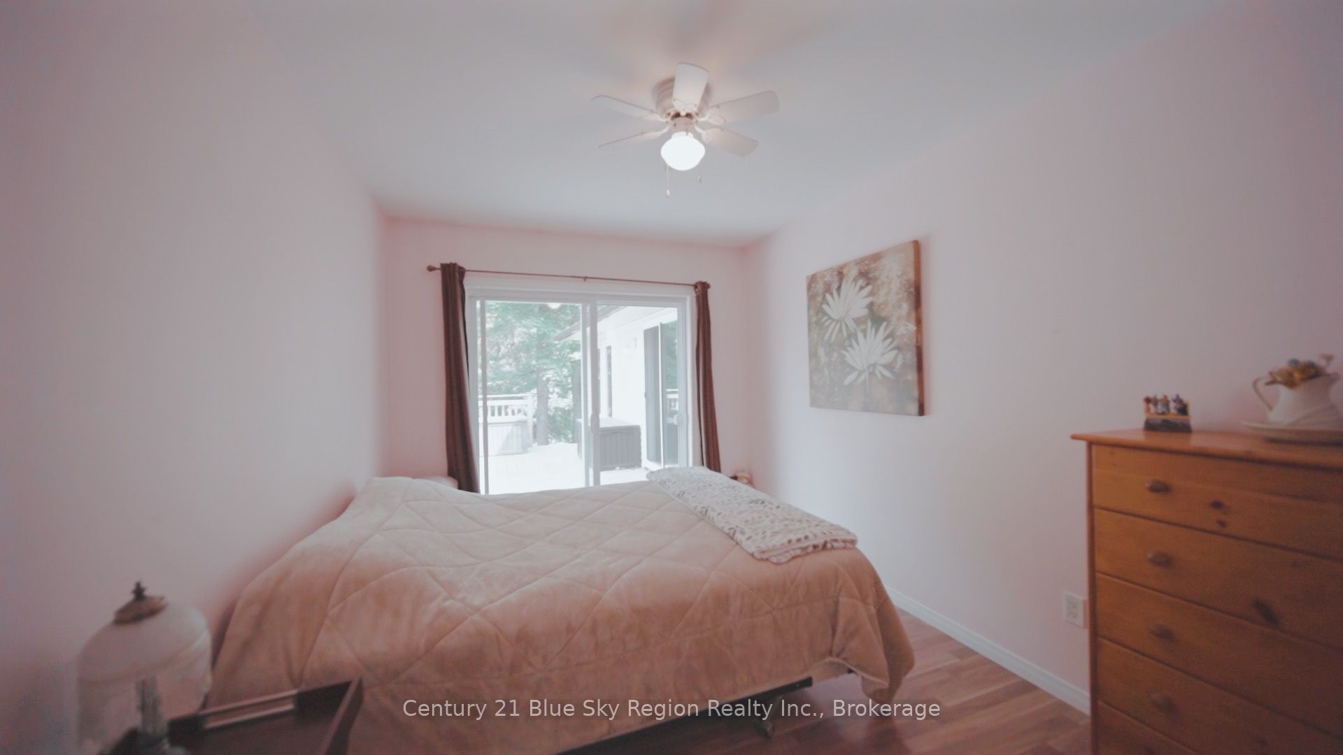 927 Albert Street Property Photo 20