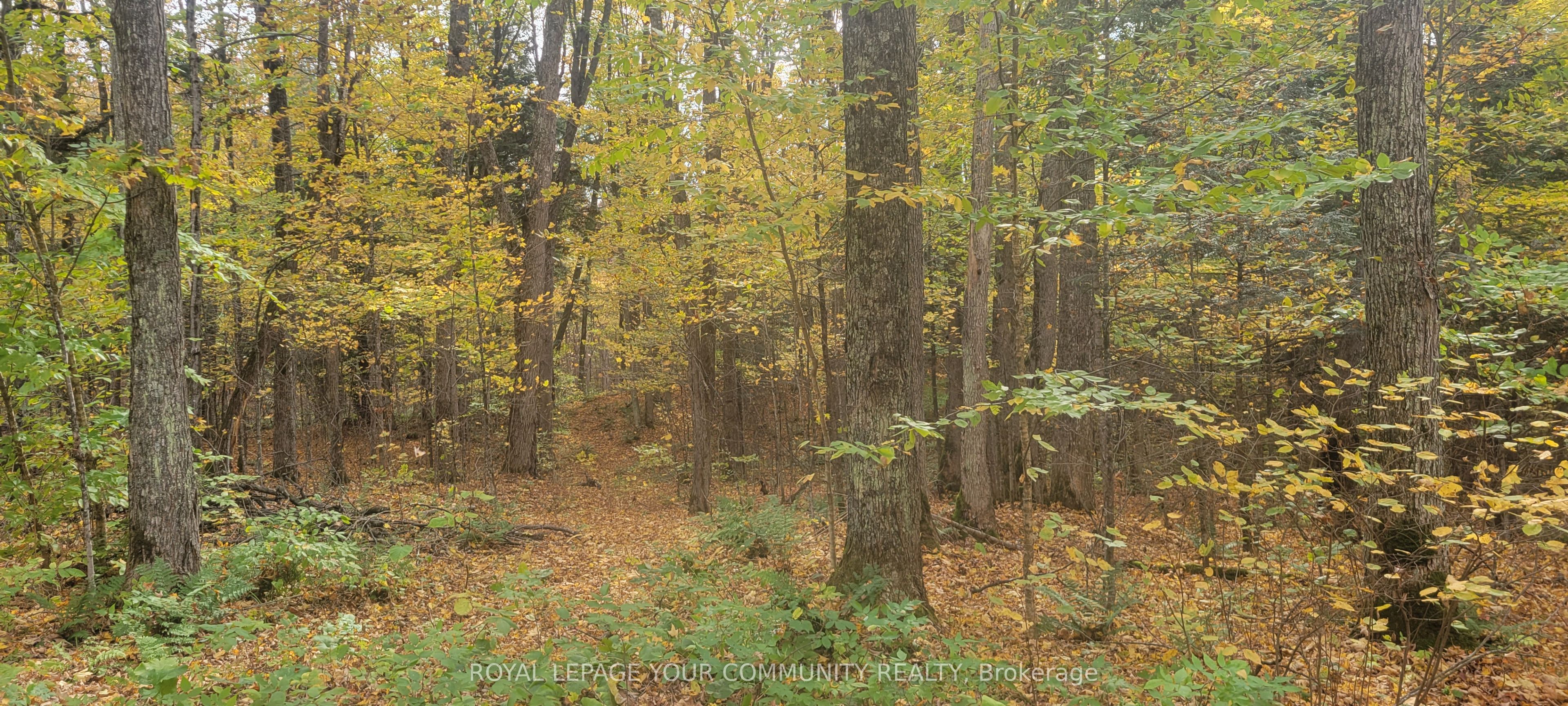 0 Tusk Trail Property Photo 1