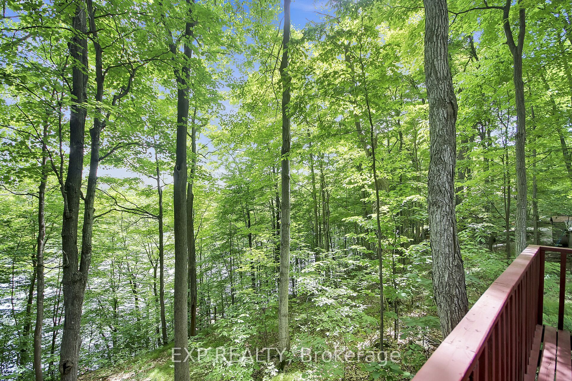 59 Fairhaven Lane Property Photo 8