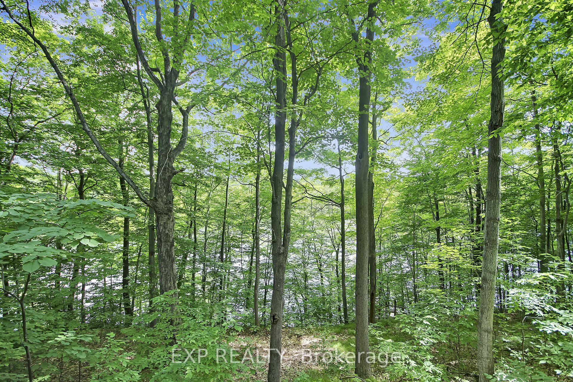 59 Fairhaven Lane Property Photo 12