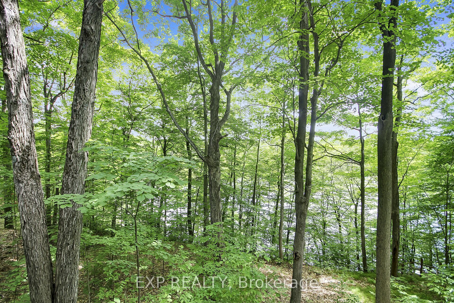 59 Fairhaven Lane Property Photo 41